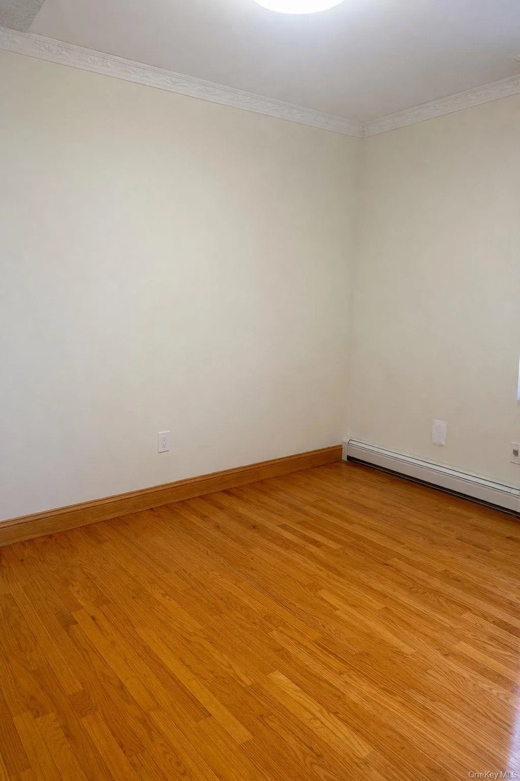 Unfurnished room with light wood finished floors, baseboard heating, and crown molding Unfurnished room with light wood finished floors, baseboard heating, and crown molding
