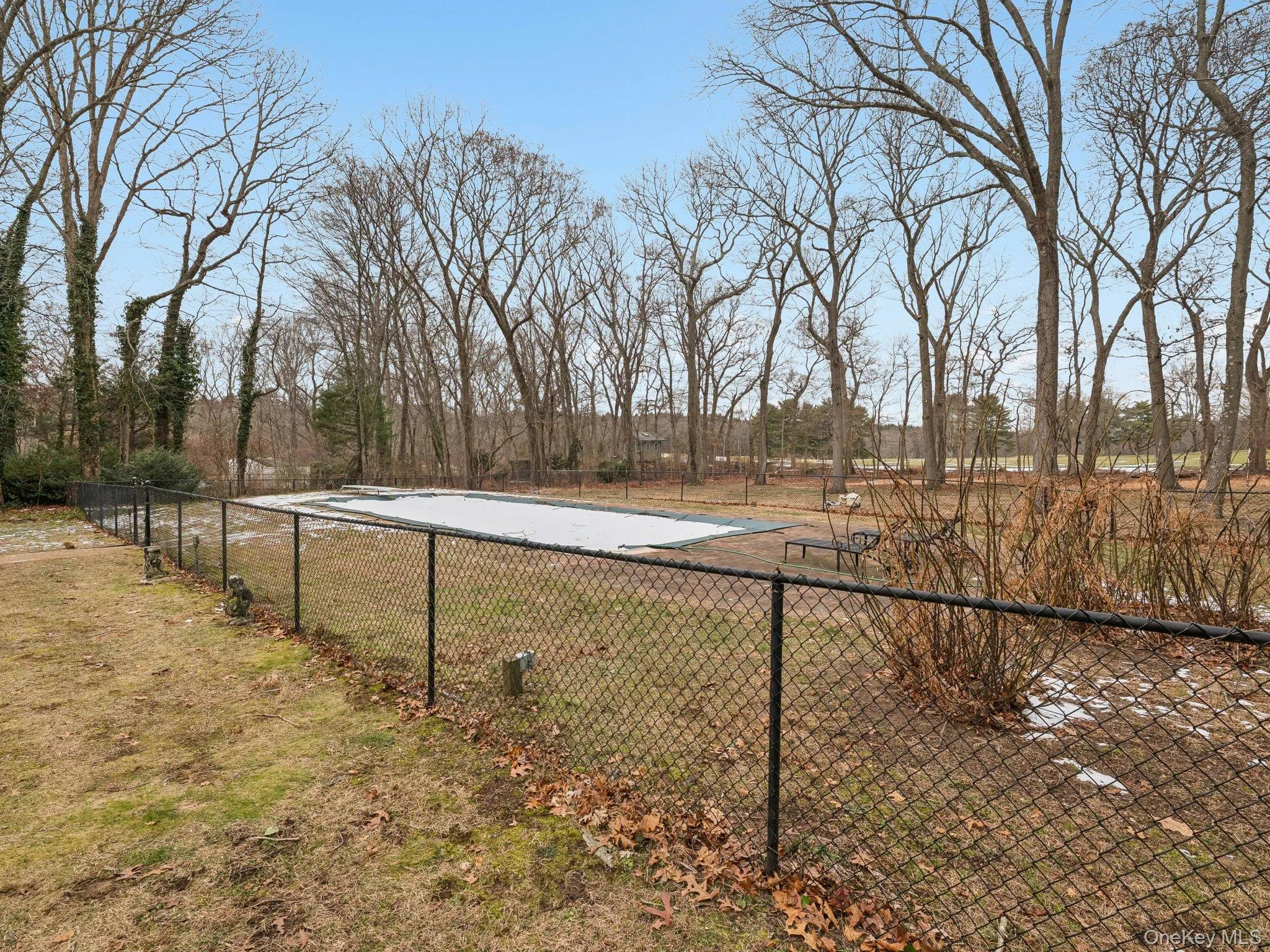 View of yard with a patio area View of yard with a patio area