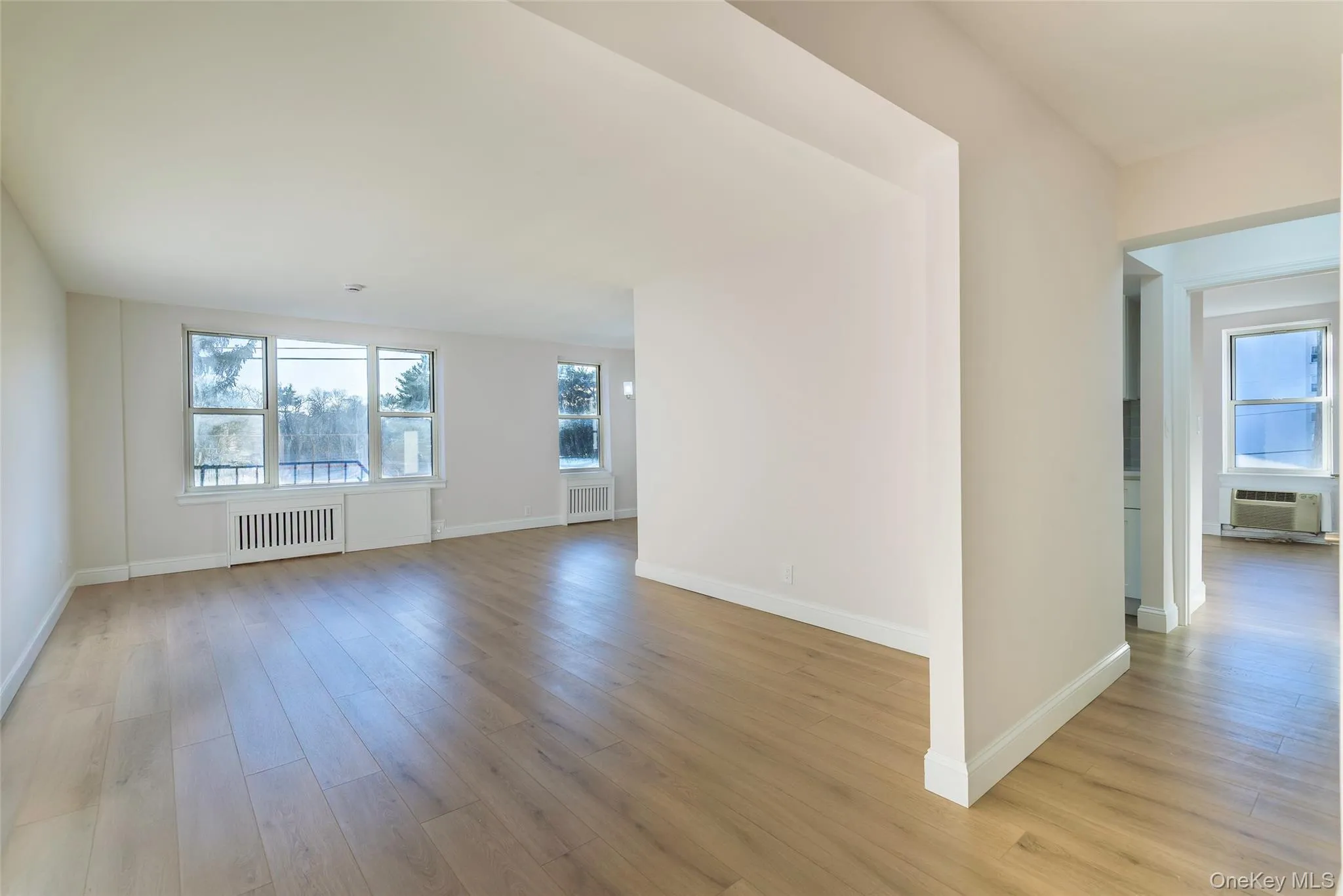 Empty room featuring light wood-style floors, plenty of natural light, and radiator Empty room featuring light wood-style floors, plenty of natural light, and radiator