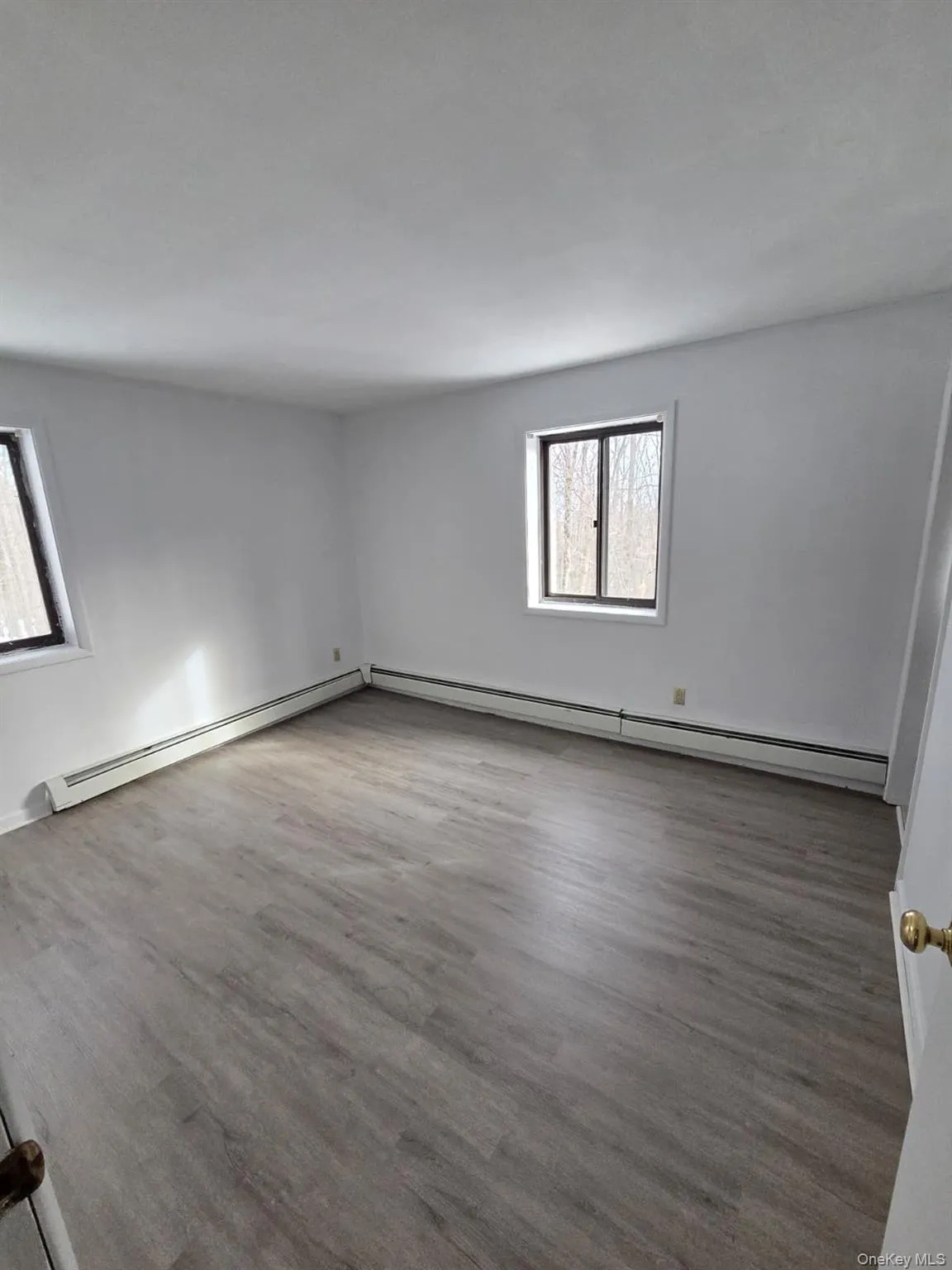Empty room featuring light wood-type flooring, a baseboard radiator, and healthy amount of natural light Empty room featuring light wood-type flooring, a baseboard radiator, and healthy amount of natural light