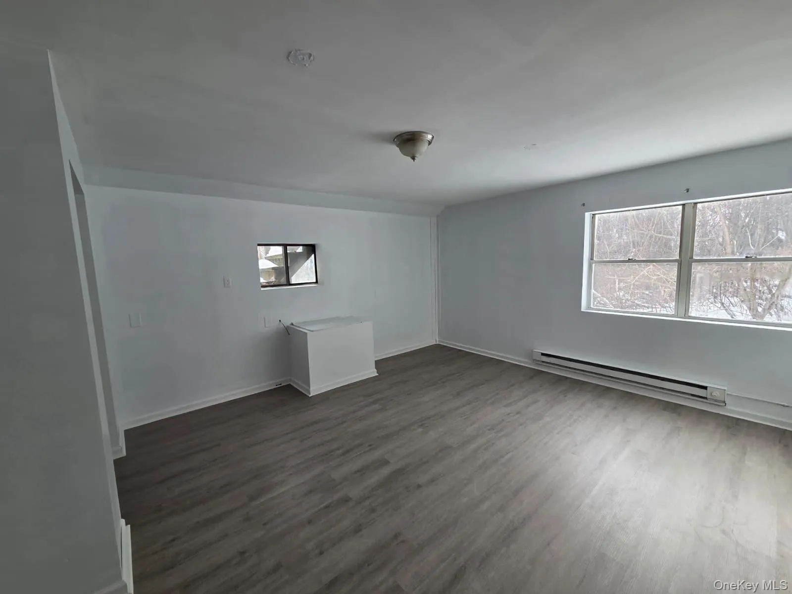 Unfurnished room featuring a baseboard radiator and dark wood-style floors Unfurnished room featuring a baseboard radiator and dark wood-style floors
