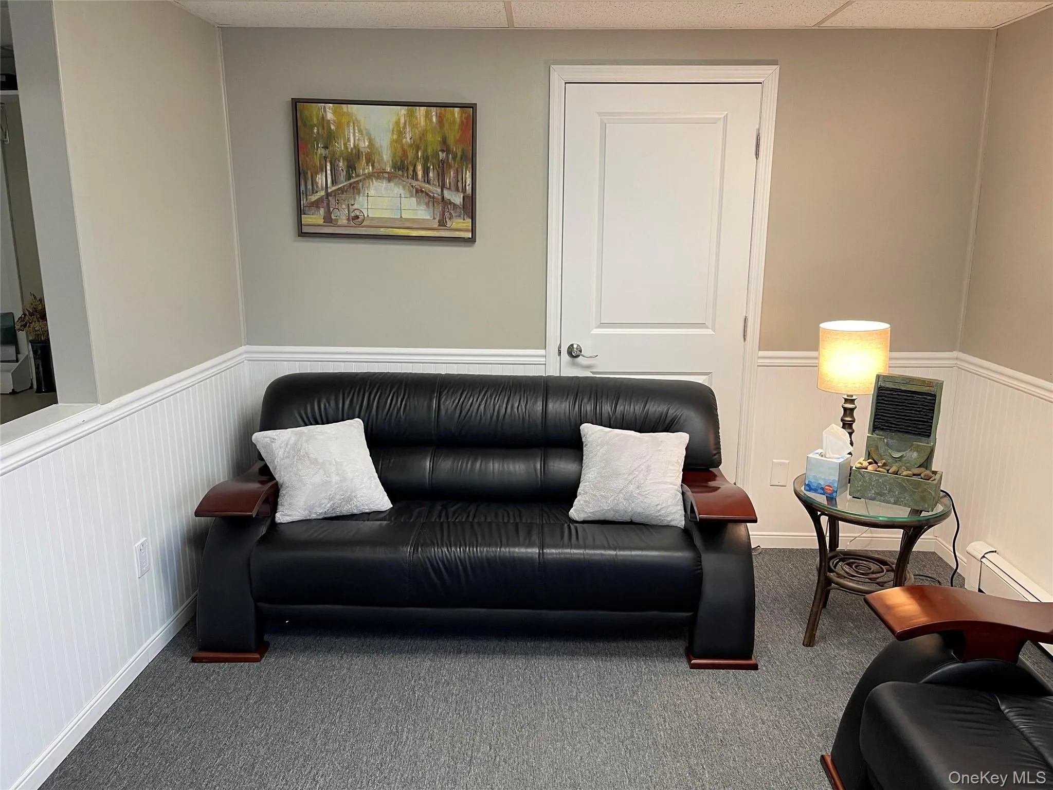 Carpeted living room featuring a wainscoted wall, a decorative wall, and a baseboard radiator Carpeted living room featuring a wainscoted wall, a decorative wall, and a baseboard radiator