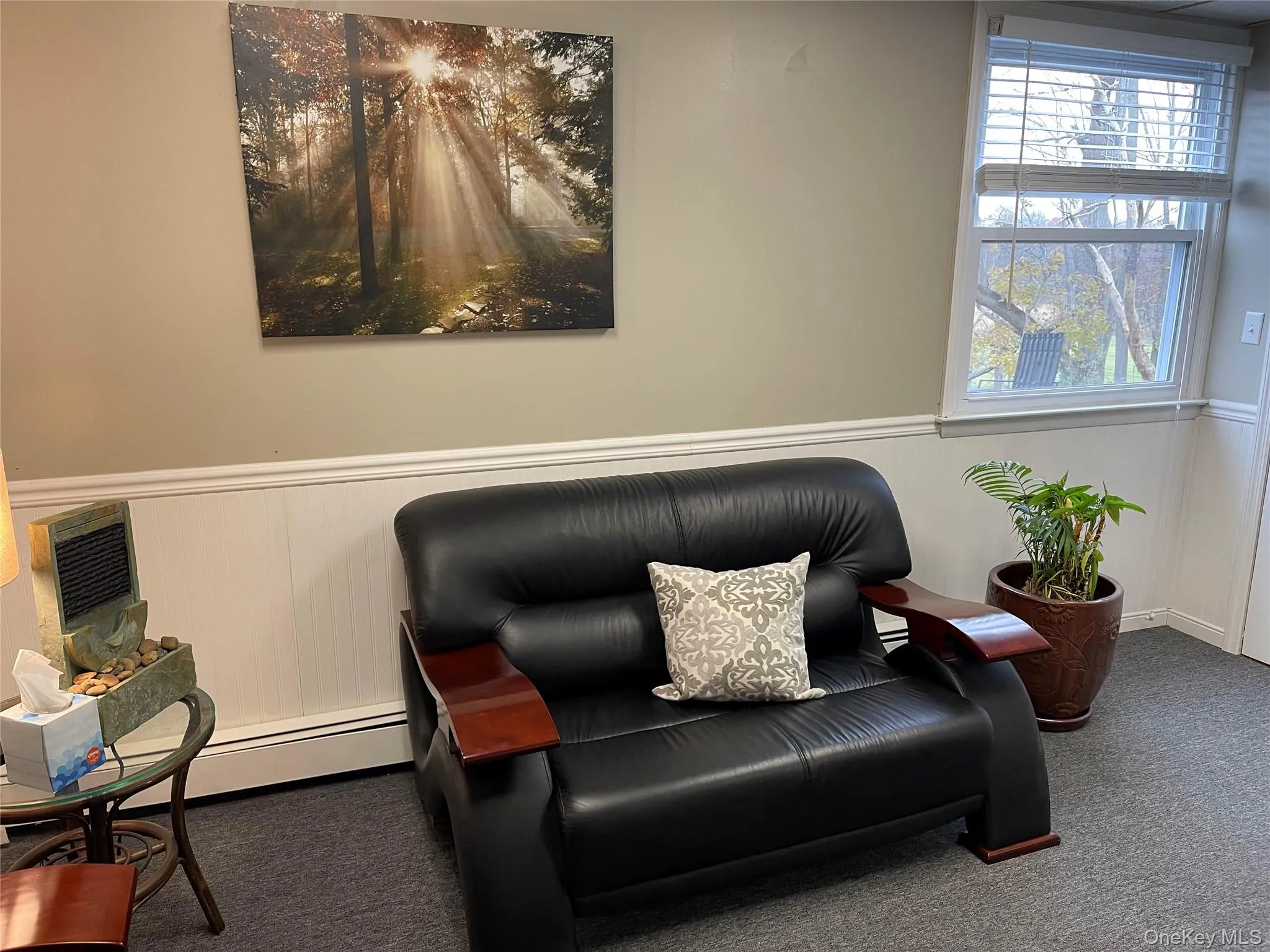 Sitting room with wainscoting, carpet flooring, a decorative wall, and baseboard heating Sitting room with wainscoting, carpet flooring, a decorative wall, and baseboard heating