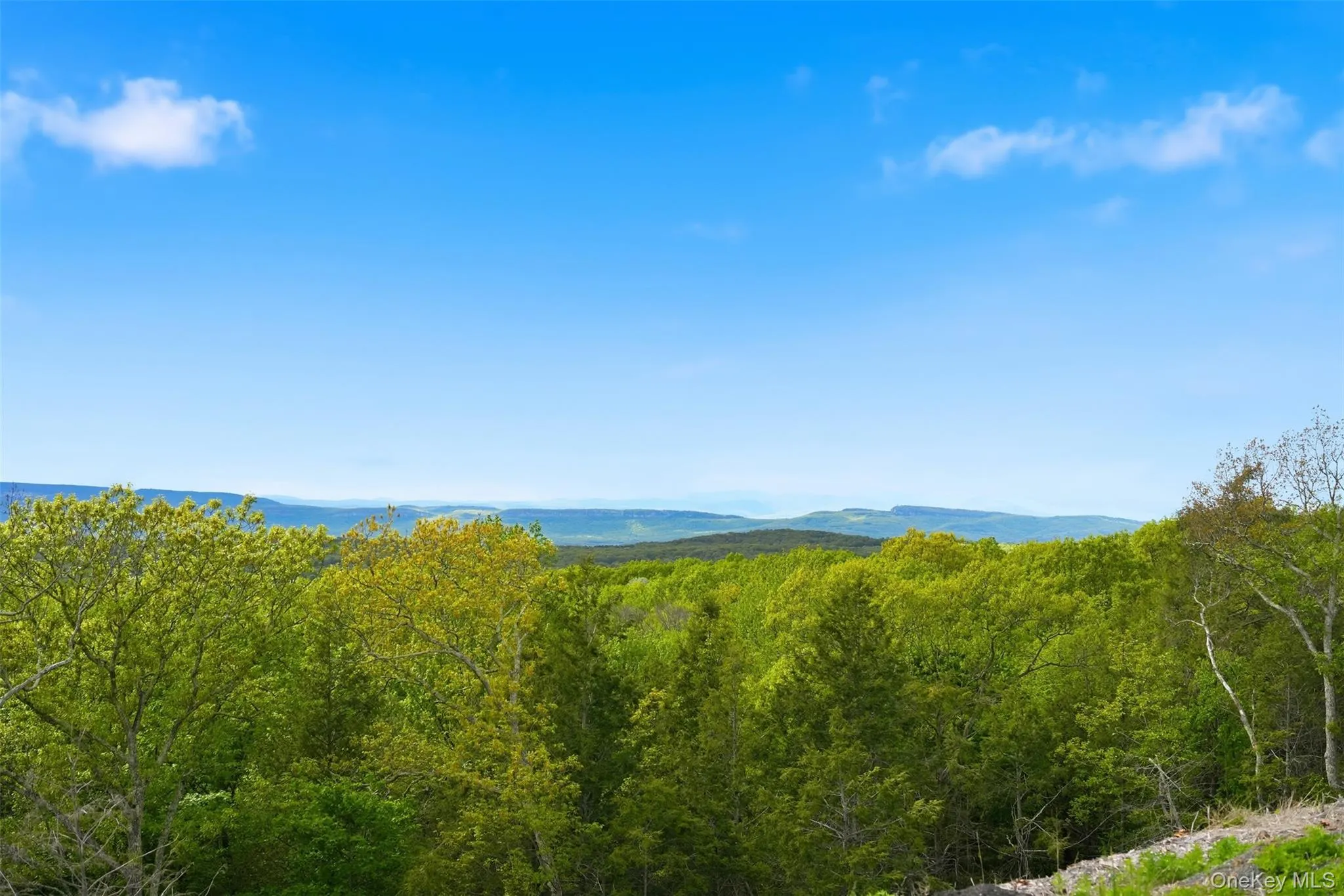 229 Mount Zion Road, Marlboro, NY, ,Land,For Rent,Mount Zion,0,947178 229 Mount Zion Road, Marlboro, NY, ,Land,For Rent,Mount Zion,0,947178