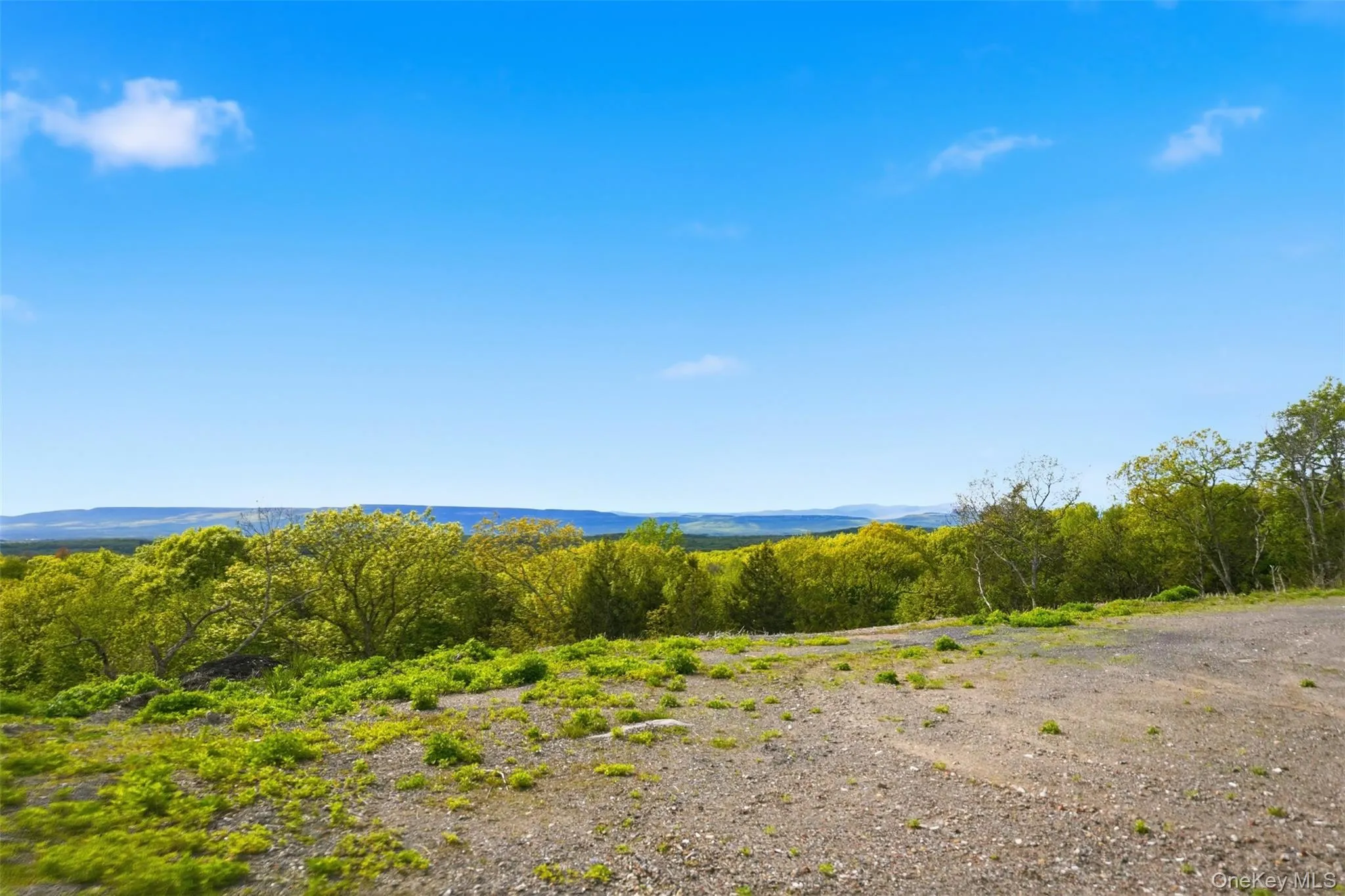 229 Mount Zion Road, Marlboro, NY, ,Land,For Rent,Mount Zion,0,947178 229 Mount Zion Road, Marlboro, NY, ,Land,For Rent,Mount Zion,0,947178