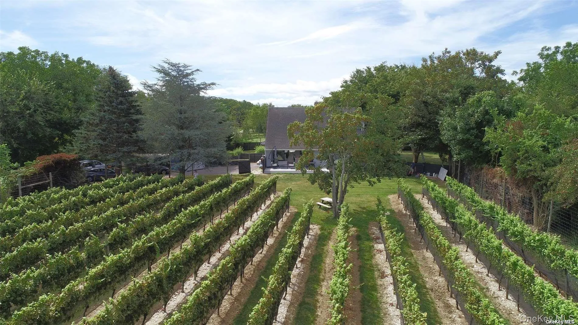 private vineyard private vineyard