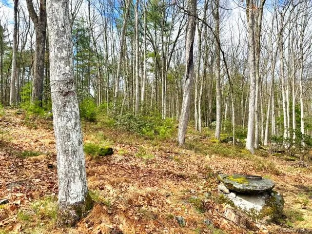 195 Mohican Trail, Lumberland, NY, 3 Bedrooms Bedrooms, 5 Rooms Rooms,1 BathroomBathrooms,Residential Sale,For Rent,Mohican,0,947304 195 Mohican Trail, Lumberland, NY, 3 Bedrooms Bedrooms, 5 Rooms Rooms,1 BathroomBathrooms,Residential Sale,For Rent,Mohican,0,947304
