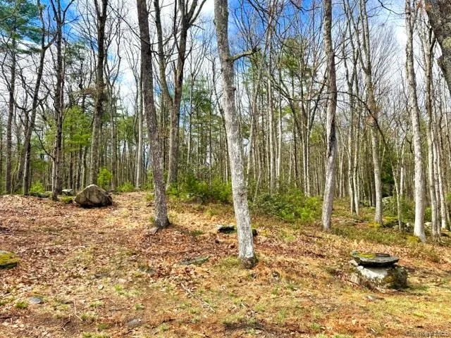 195 Mohican Trail, Lumberland, NY, 3 Bedrooms Bedrooms, 5 Rooms Rooms,1 BathroomBathrooms,Residential Sale,For Rent,Mohican,0,947304 195 Mohican Trail, Lumberland, NY, 3 Bedrooms Bedrooms, 5 Rooms Rooms,1 BathroomBathrooms,Residential Sale,For Rent,Mohican,0,947304