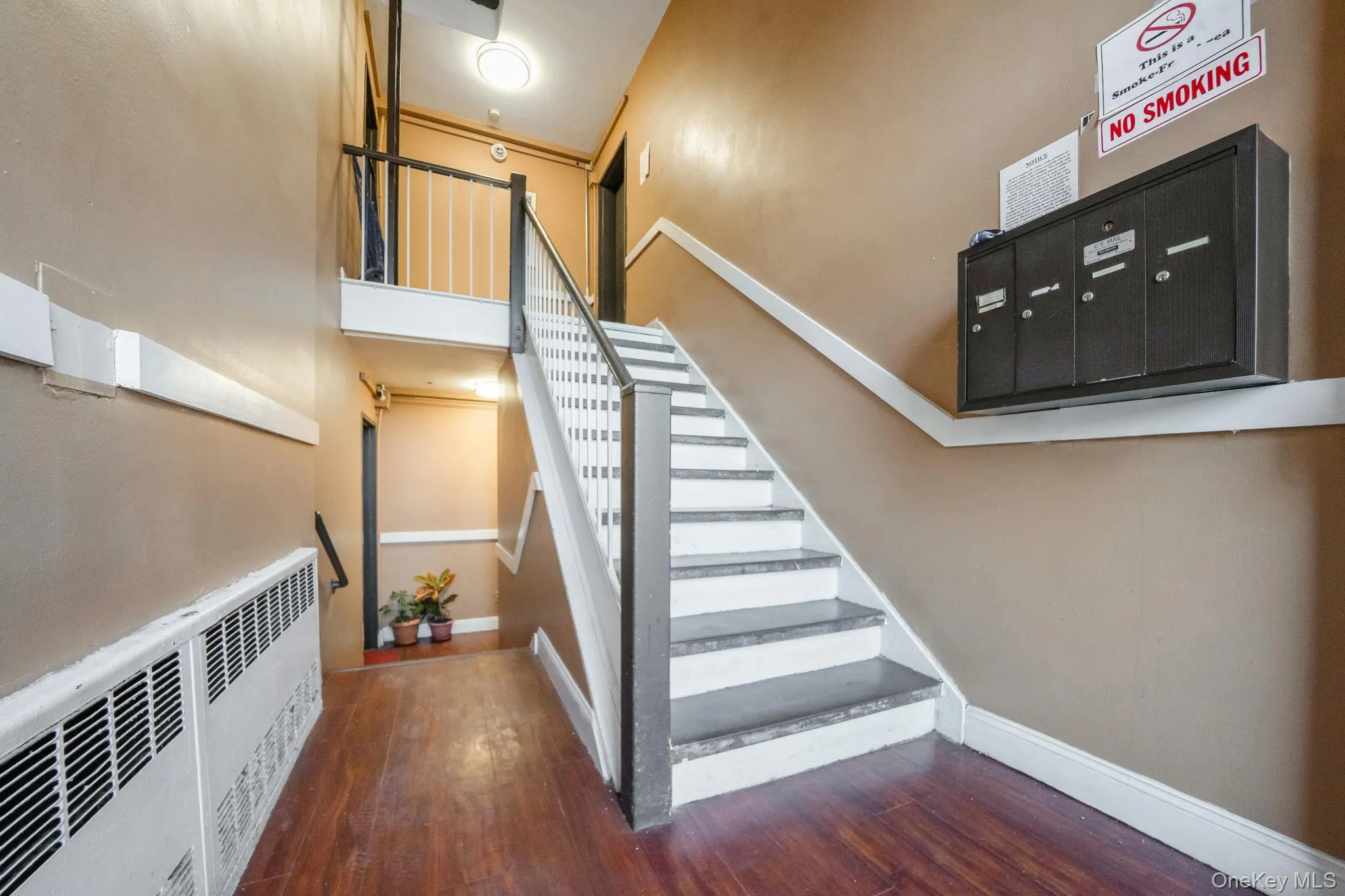 1020 Elton Street, New York, NY, 3 Bedrooms Bedrooms, 4 Rooms Rooms,1 BathroomBathrooms,Residential,For Rent,Elton,0,947320 1020 Elton Street, New York, NY, 3 Bedrooms Bedrooms, 4 Rooms Rooms,1 BathroomBathrooms,Residential,For Rent,Elton,0,947320