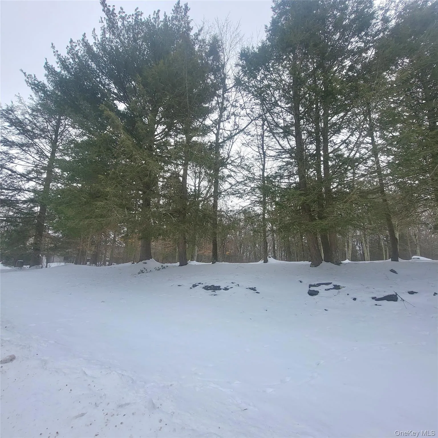 000 Roslyn Ridge Road, Bethel, NY, ,Land,For Rent,Roslyn Ridge,0,947351 000 Roslyn Ridge Road, Bethel, NY, ,Land,For Rent,Roslyn Ridge,0,947351