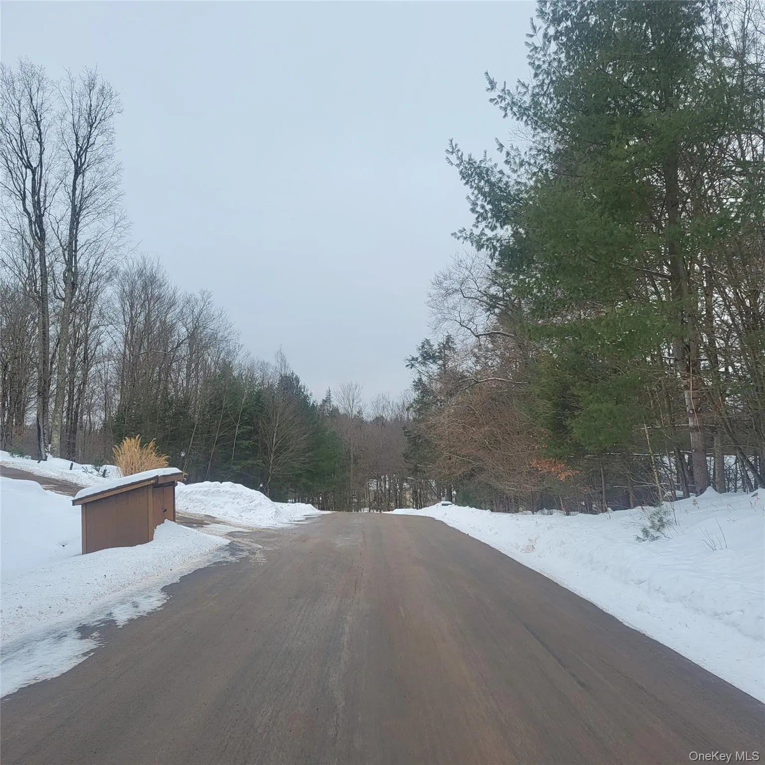 000 Roslyn Ridge Road, Bethel, NY, ,Land,For Rent,Roslyn Ridge,0,947351 000 Roslyn Ridge Road, Bethel, NY, ,Land,For Rent,Roslyn Ridge,0,947351