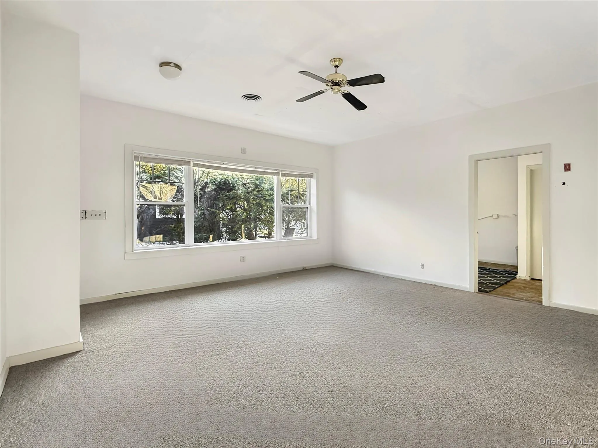 Sunlit open floor plan with high ceilings and wooded view Sunlit open floor plan with high ceilings and wooded view