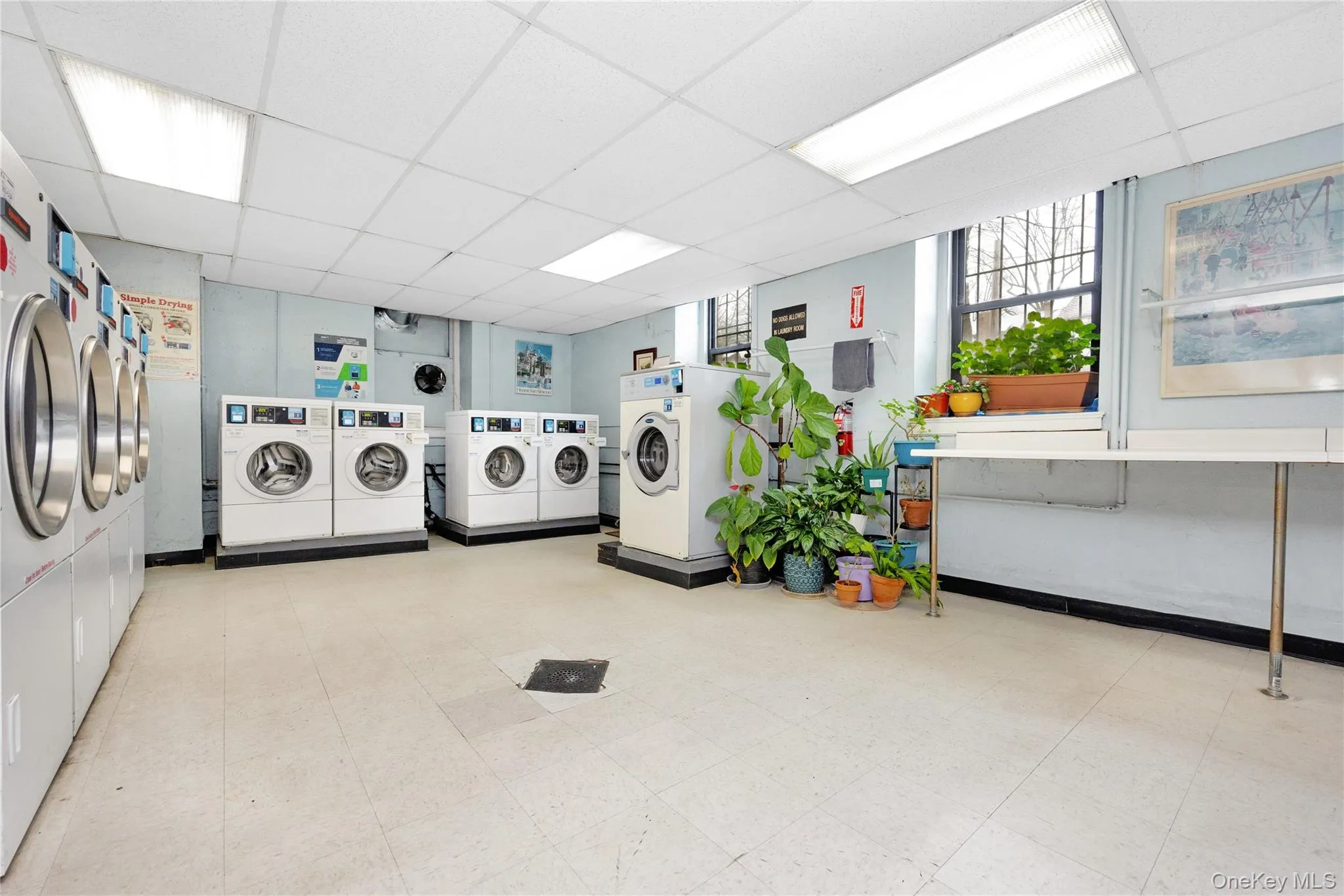 Laundry area featuring a paneled ceiling and washing machine and clothes dryer Laundry area featuring a paneled ceiling and washing machine and clothes dryer