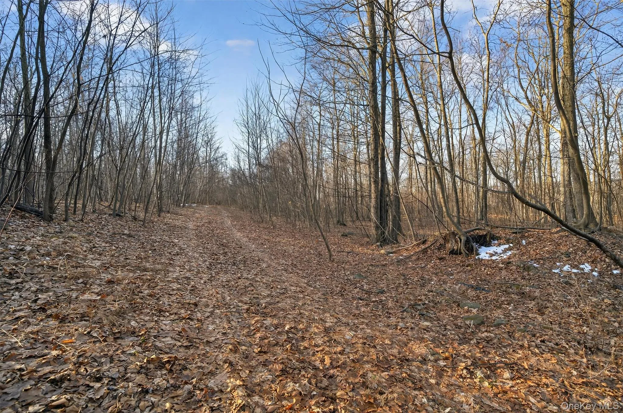 TBD Eatontown Road, Greenville, NY, ,Land,For Rent,Eatontown,0,947587 TBD Eatontown Road, Greenville, NY, ,Land,For Rent,Eatontown,0,947587