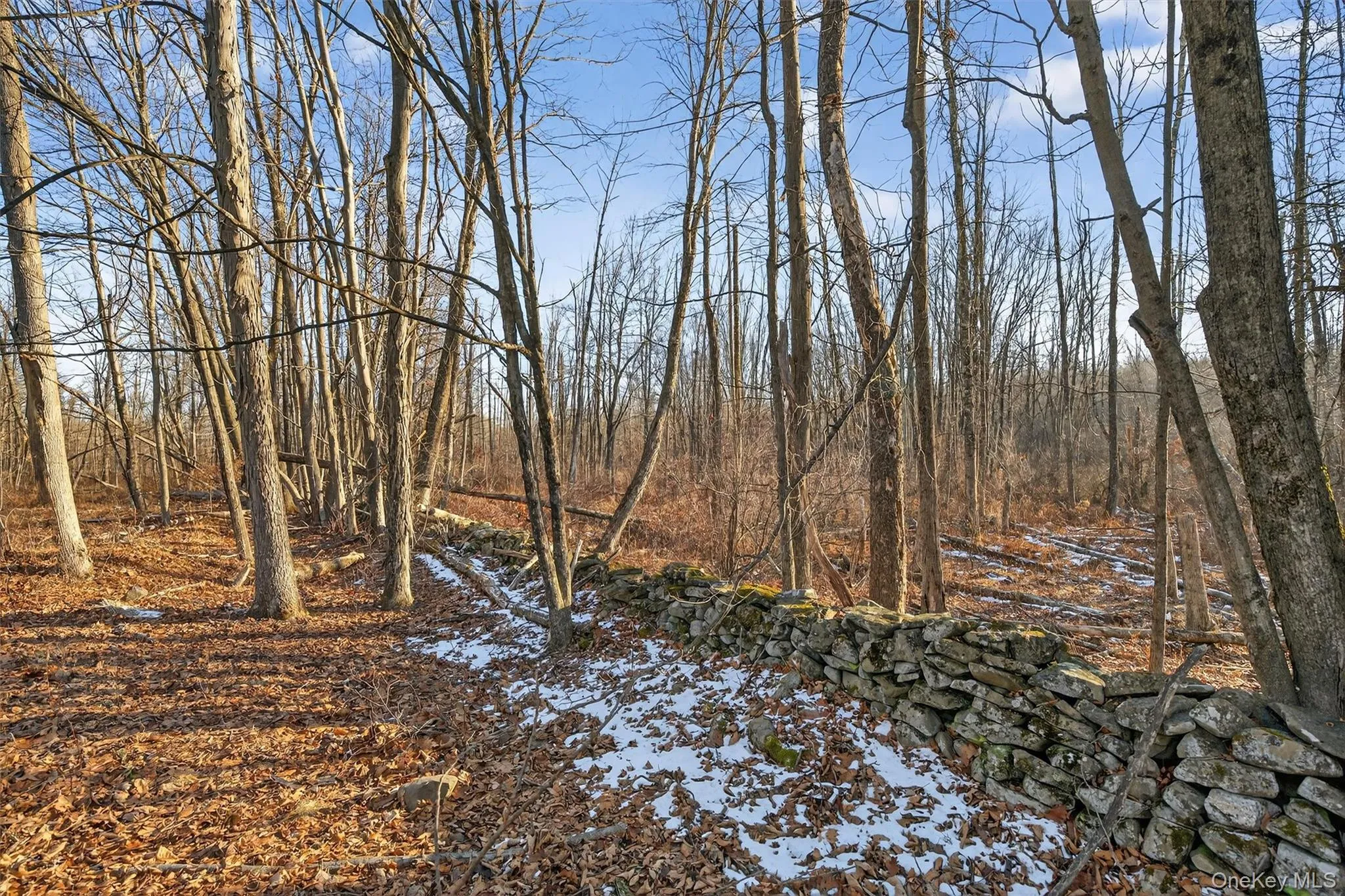 TBD Eatontown Road, Greenville, NY, ,Land,For Rent,Eatontown,0,947587 TBD Eatontown Road, Greenville, NY, ,Land,For Rent,Eatontown,0,947587