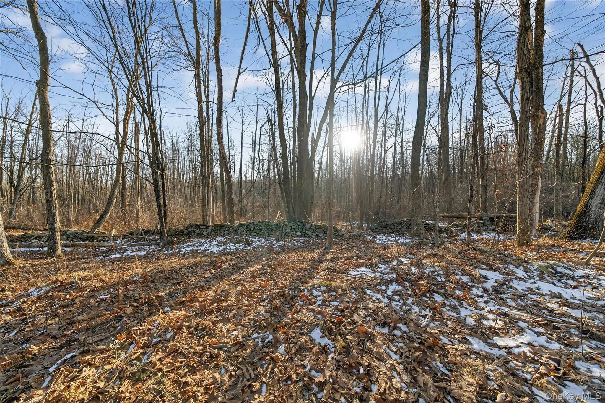 TBD Eatontown Road, Greenville, NY, ,Land,For Rent,Eatontown,0,947587 TBD Eatontown Road, Greenville, NY, ,Land,For Rent,Eatontown,0,947587