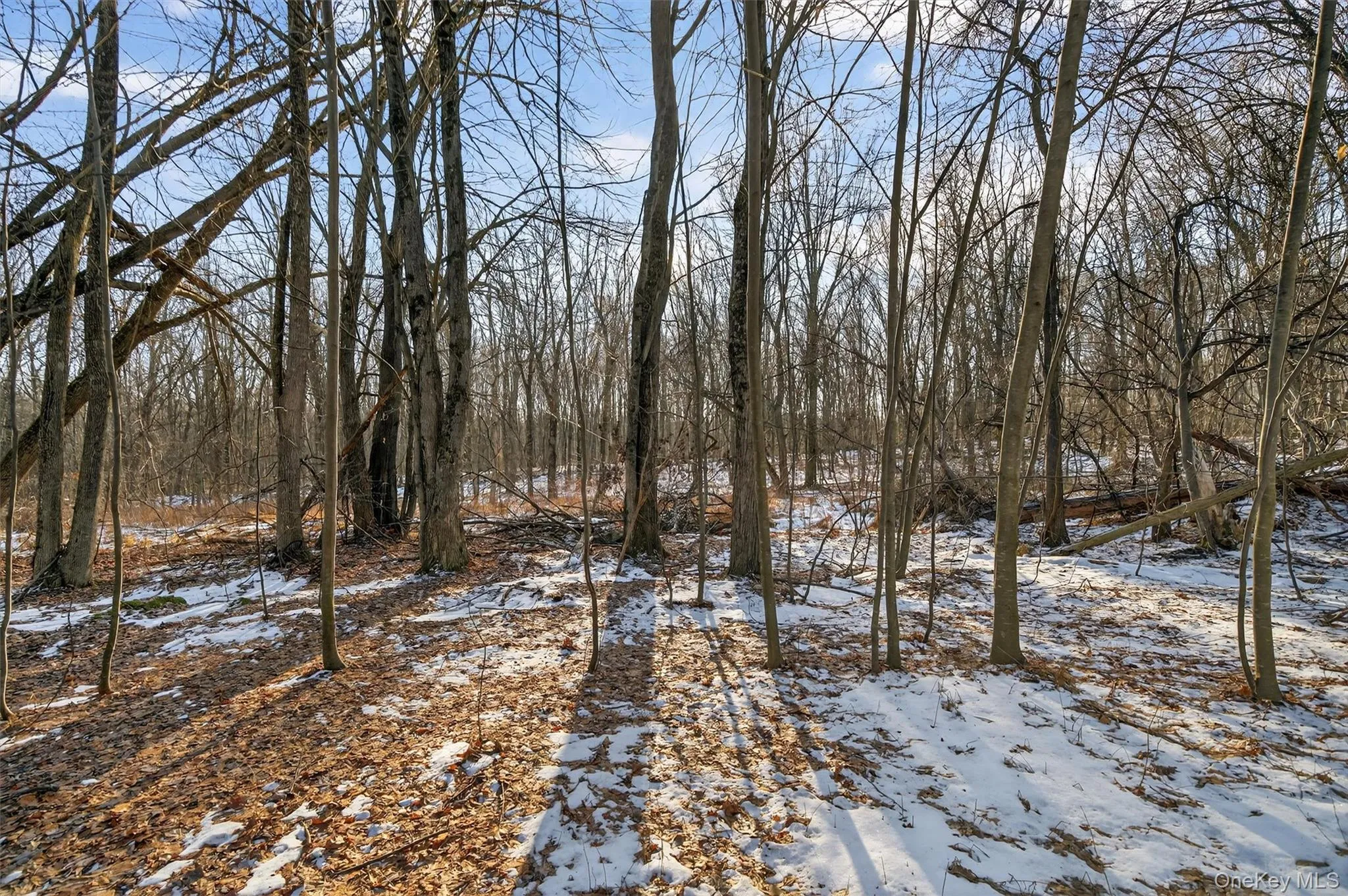 TBD Eatontown Road, Greenville, NY, ,Land,For Rent,Eatontown,0,947587 TBD Eatontown Road, Greenville, NY, ,Land,For Rent,Eatontown,0,947587