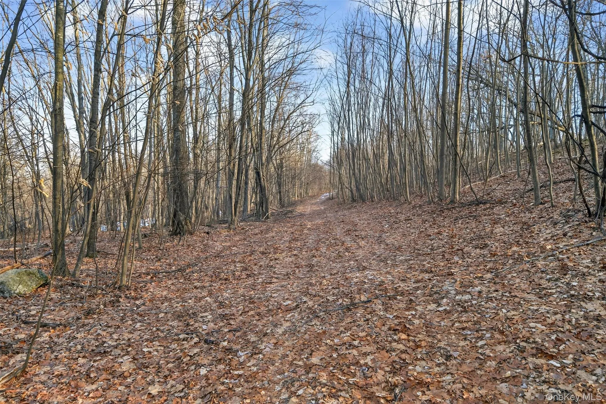 TBD Eatontown Road, Greenville, NY, ,Land,For Rent,Eatontown,0,947587 TBD Eatontown Road, Greenville, NY, ,Land,For Rent,Eatontown,0,947587