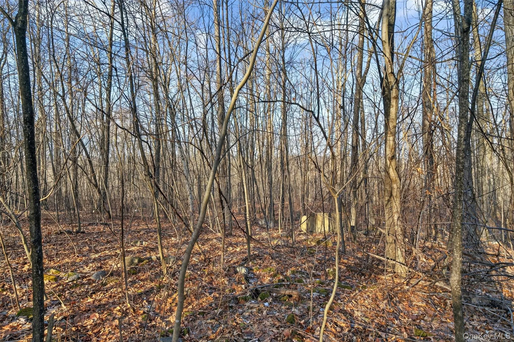 TBD Eatontown Road, Greenville, NY, ,Land,For Rent,Eatontown,0,947587 TBD Eatontown Road, Greenville, NY, ,Land,For Rent,Eatontown,0,947587