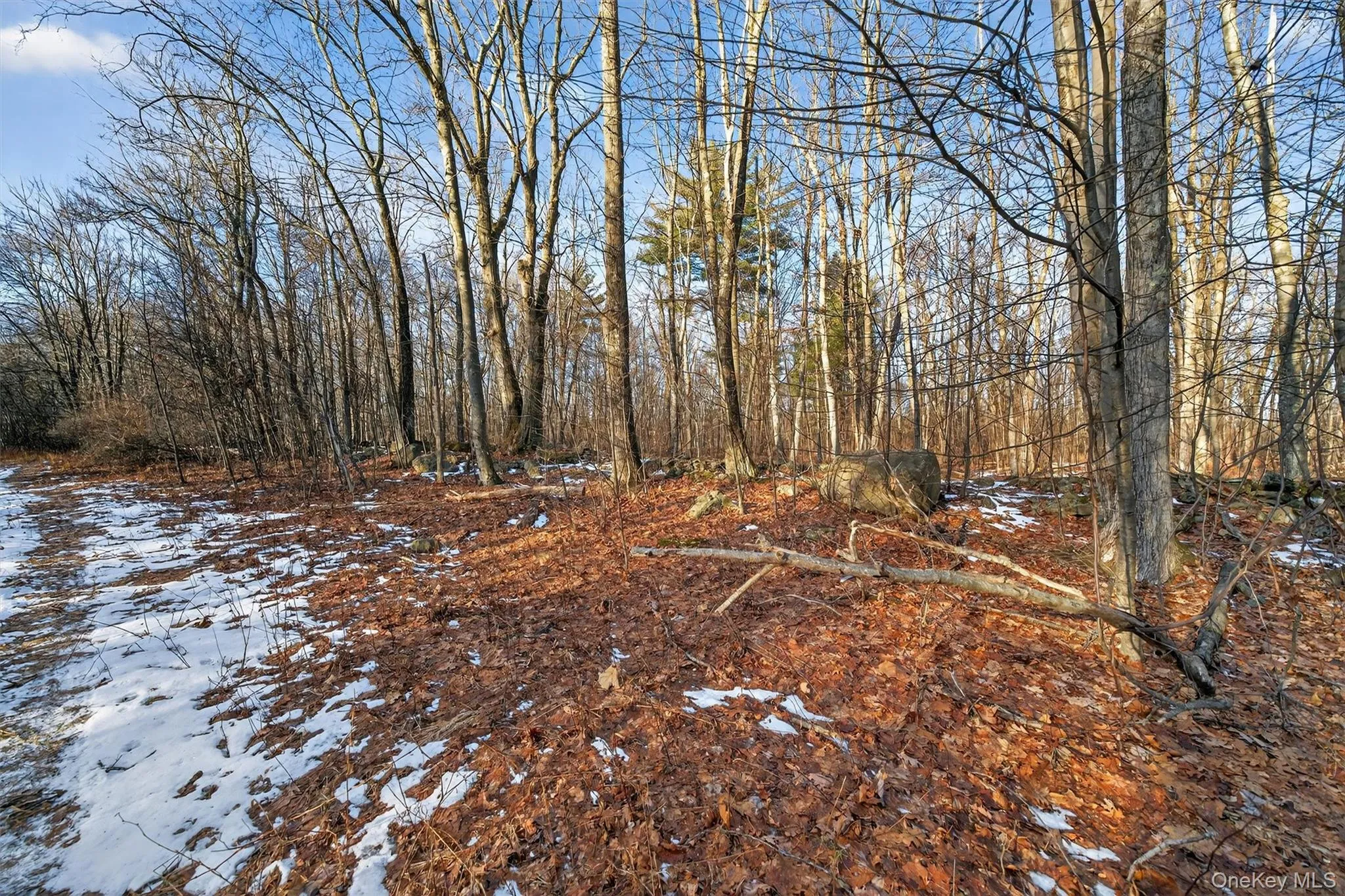 TBD Eatontown Road, Greenville, NY, ,Land,For Rent,Eatontown,0,947587 TBD Eatontown Road, Greenville, NY, ,Land,For Rent,Eatontown,0,947587