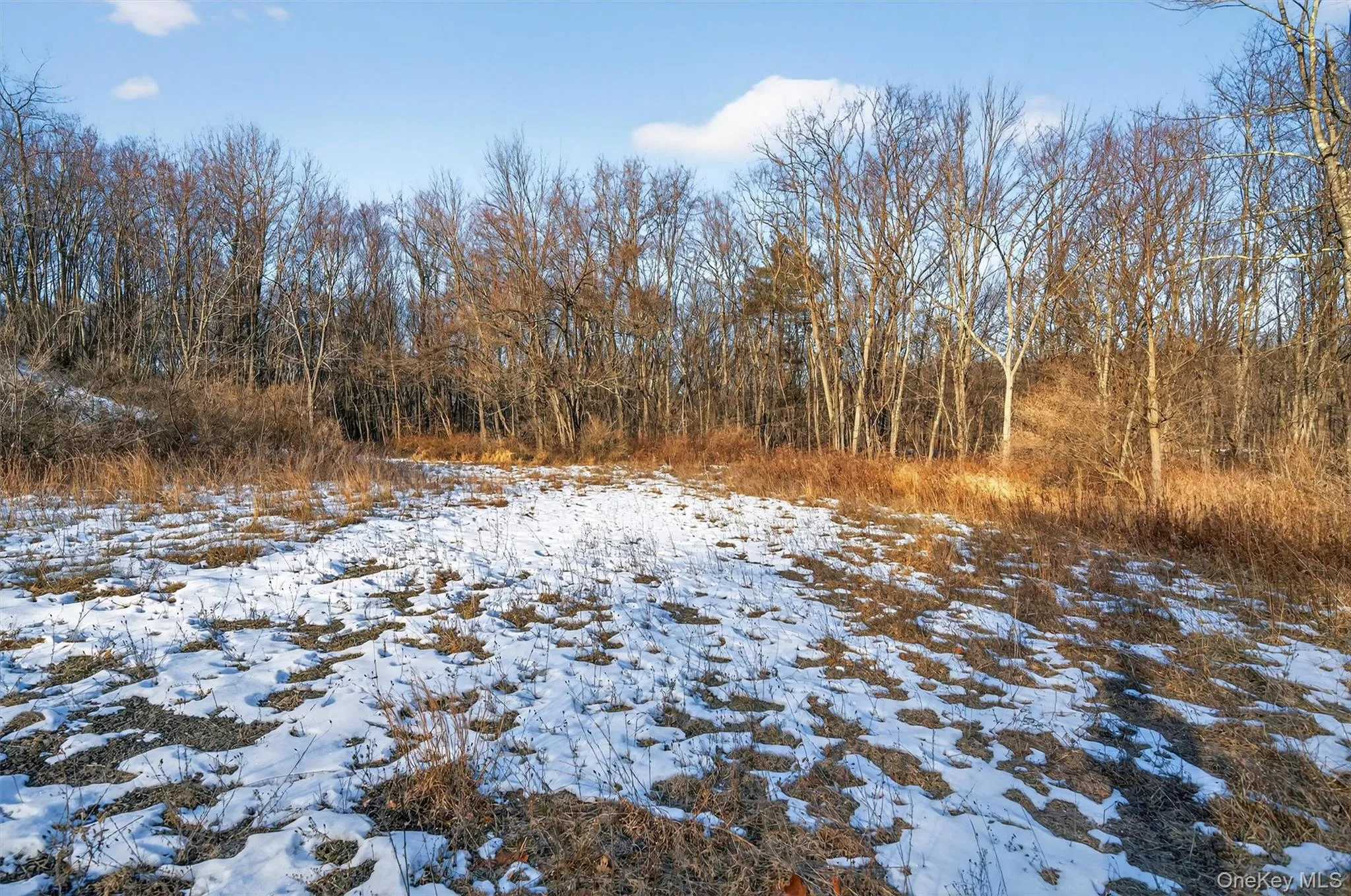 TBD Eatontown Road, Greenville, NY, ,Land,For Rent,Eatontown,0,947587 TBD Eatontown Road, Greenville, NY, ,Land,For Rent,Eatontown,0,947587