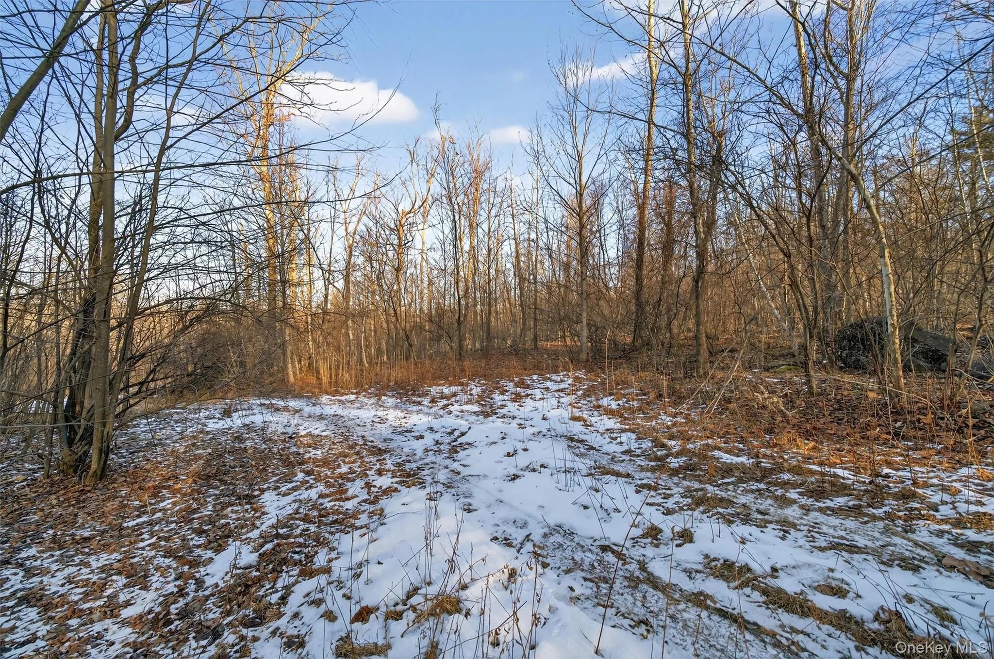 TBD Eatontown Road, Greenville, NY, ,Land,For Rent,Eatontown,0,947587 TBD Eatontown Road, Greenville, NY, ,Land,For Rent,Eatontown,0,947587