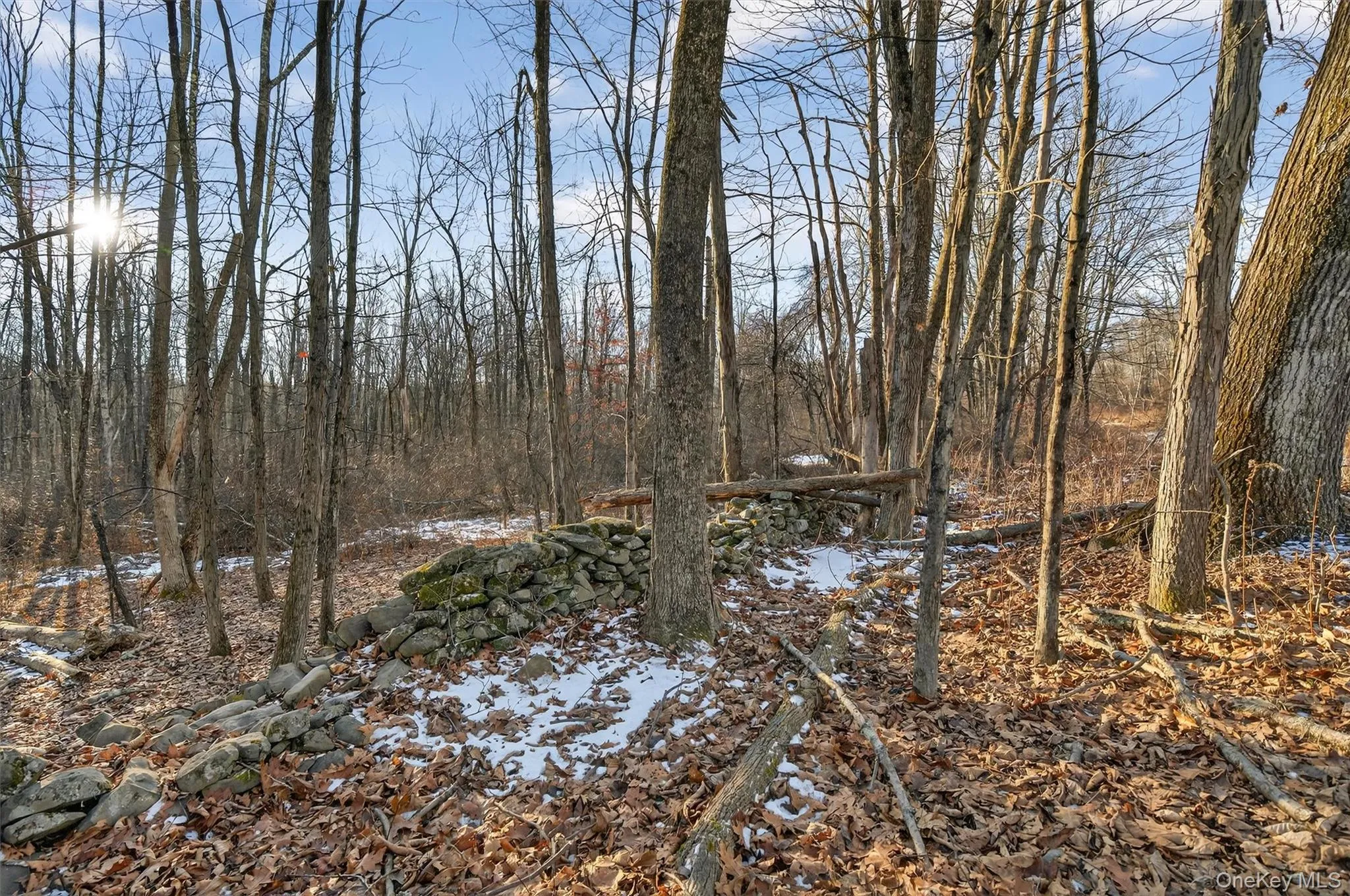 TBD Eatontown Road, Greenville, NY, ,Land,For Rent,Eatontown,0,947587 TBD Eatontown Road, Greenville, NY, ,Land,For Rent,Eatontown,0,947587