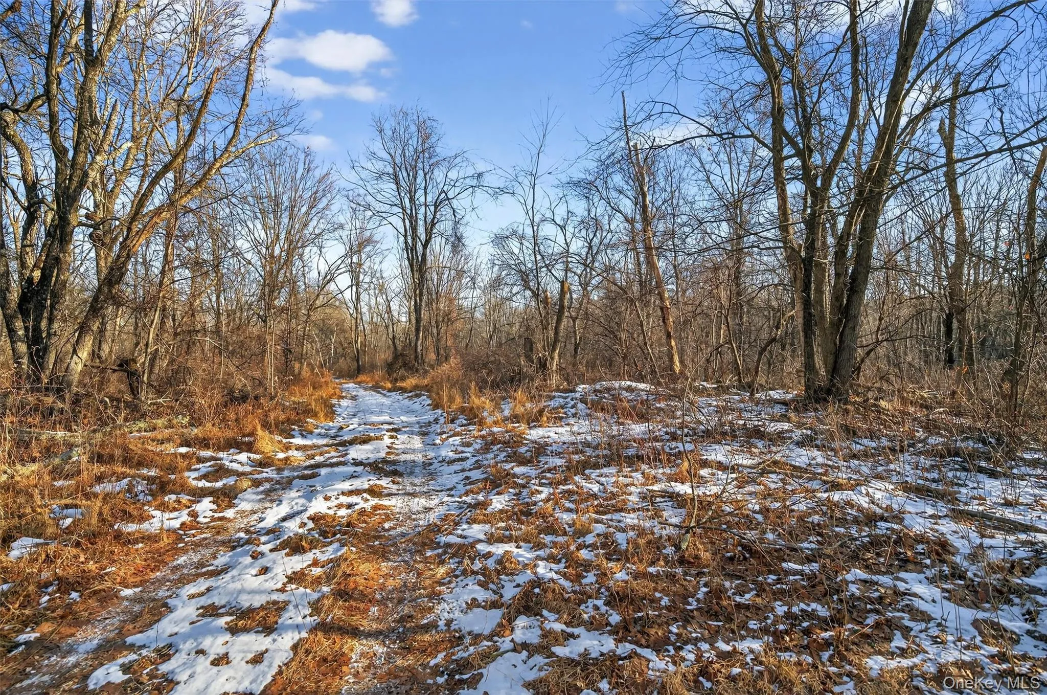 TBD Eatontown Road, Greenville, NY, ,Land,For Rent,Eatontown,0,947587 TBD Eatontown Road, Greenville, NY, ,Land,For Rent,Eatontown,0,947587