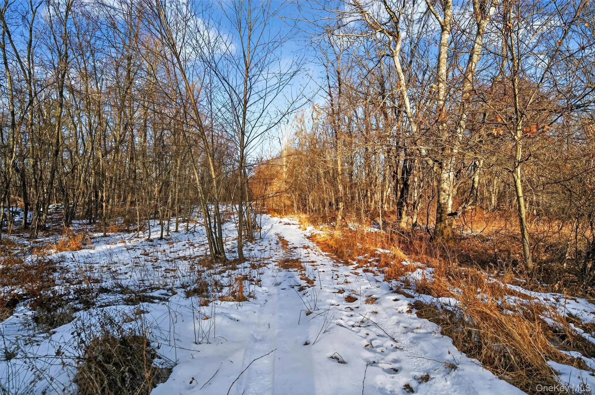 TBD Eatontown Road, Greenville, NY, ,Land,For Rent,Eatontown,0,947587 TBD Eatontown Road, Greenville, NY, ,Land,For Rent,Eatontown,0,947587