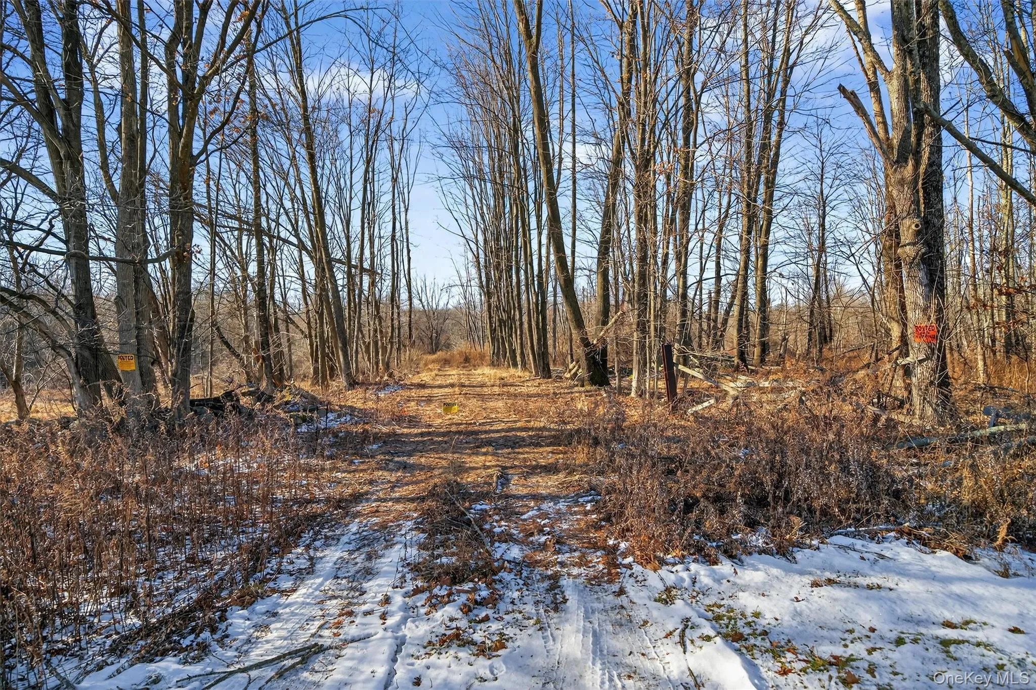 TBD Eatontown Road, Greenville, NY, ,Land,For Rent,Eatontown,0,947587 TBD Eatontown Road, Greenville, NY, ,Land,For Rent,Eatontown,0,947587