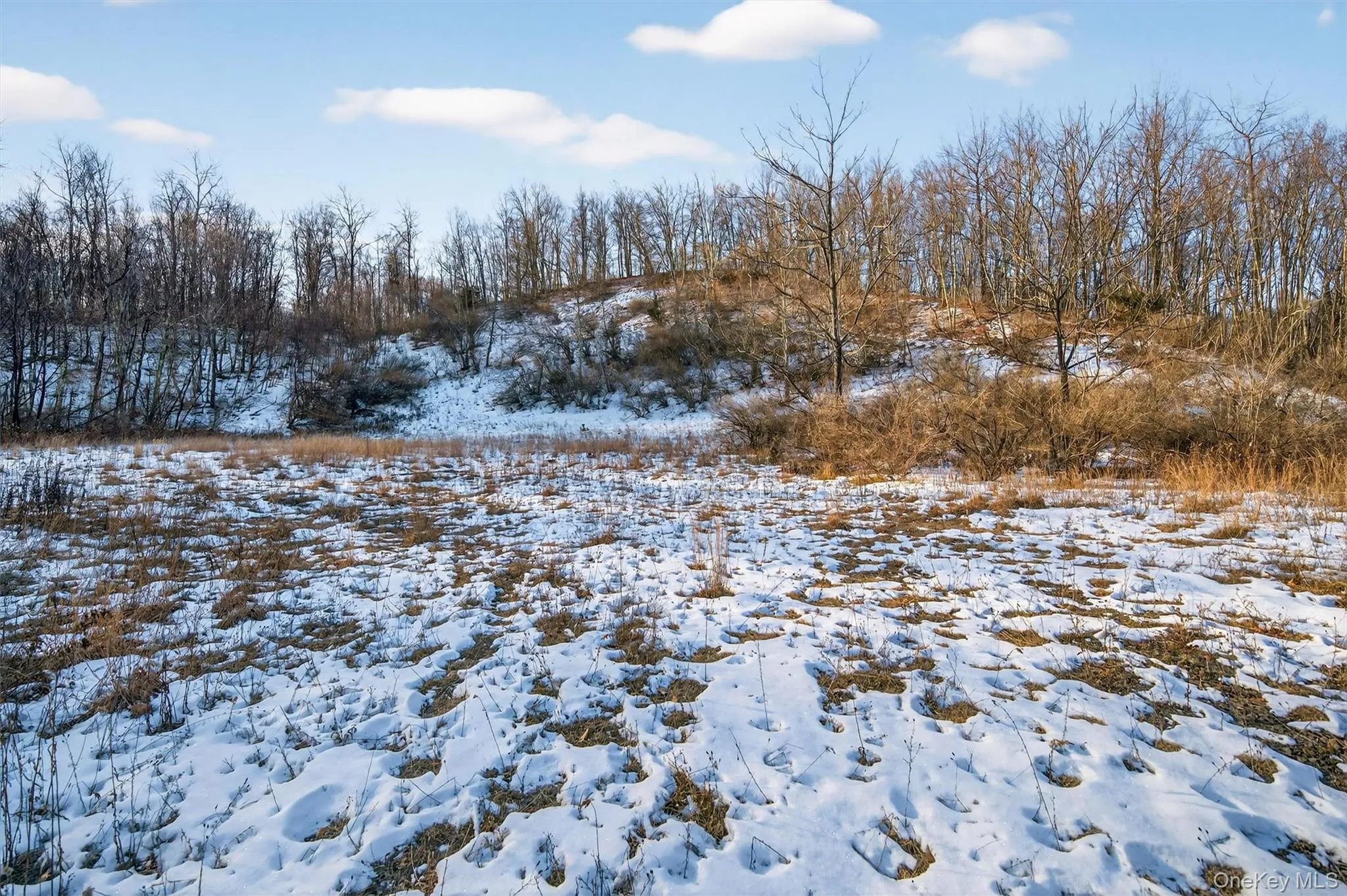 TBD Eatontown Road, Greenville, NY, ,Land,For Rent,Eatontown,0,947587 TBD Eatontown Road, Greenville, NY, ,Land,For Rent,Eatontown,0,947587