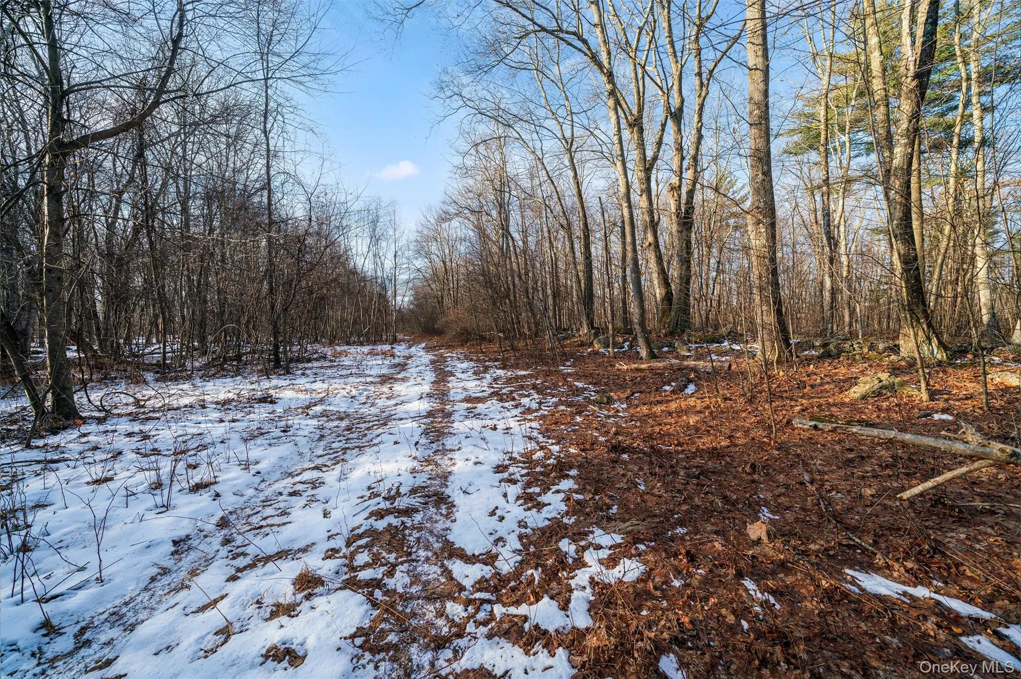 TBD Eatontown Road, Greenville, NY, ,Land,For Rent,Eatontown,0,947587 TBD Eatontown Road, Greenville, NY, ,Land,For Rent,Eatontown,0,947587