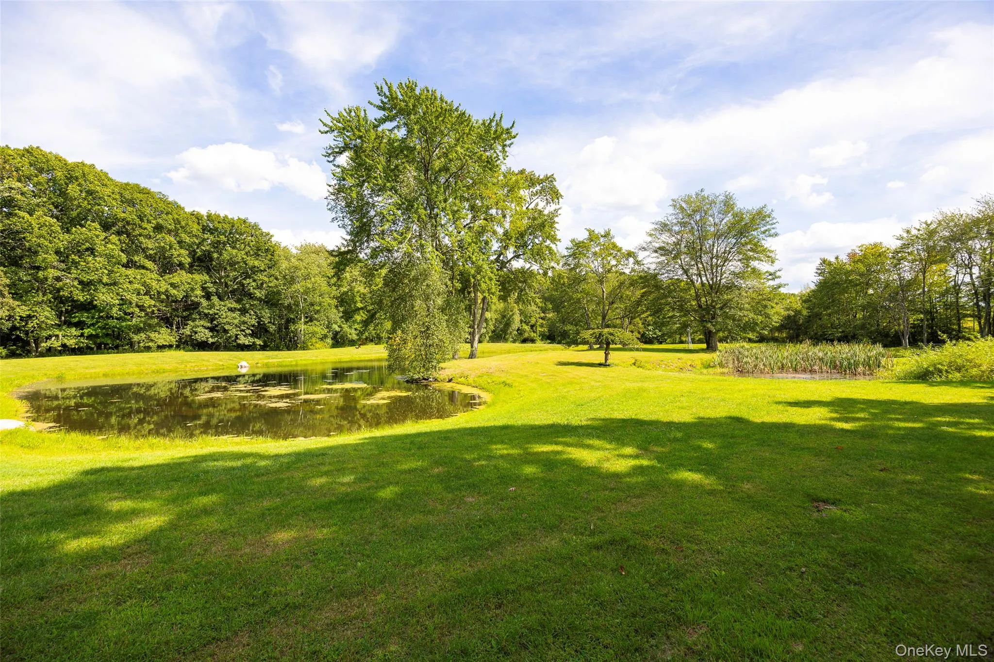 89 Deer Pond Road, Union Vale, NY, 4 Bedrooms Bedrooms, 13 Rooms Rooms,2 BathroomsBathrooms,Residential,For Rent,Deer Pond,0,947615 89 Deer Pond Road, Union Vale, NY, 4 Bedrooms Bedrooms, 13 Rooms Rooms,2 BathroomsBathrooms,Residential,For Rent,Deer Pond,0,947615
