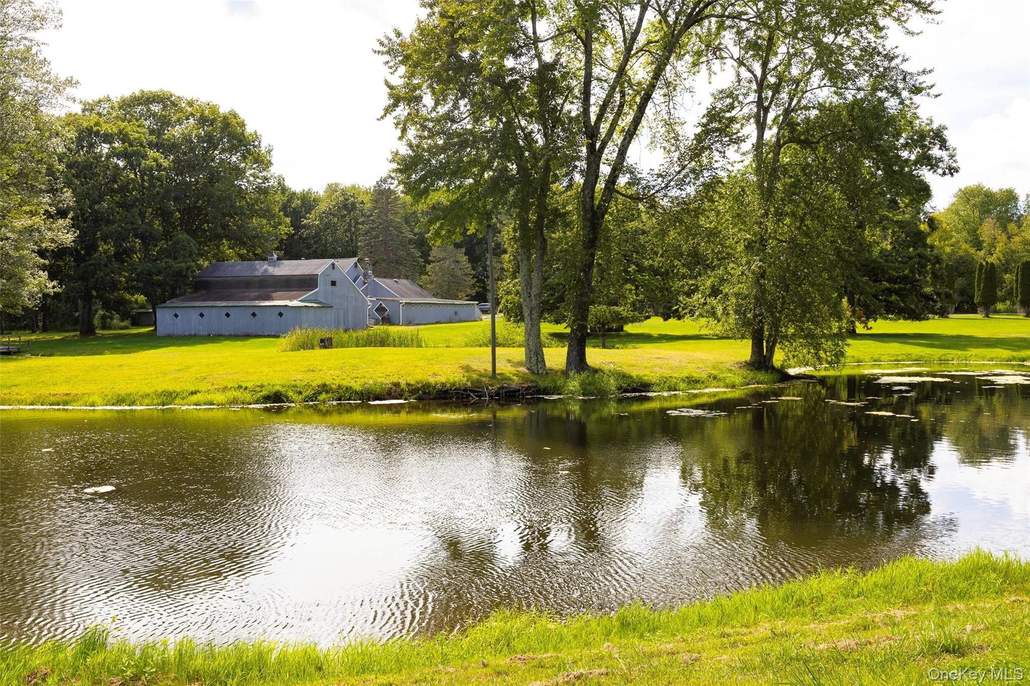 89 Deer Pond Road, Union Vale, NY, 4 Bedrooms Bedrooms, 13 Rooms Rooms,2 BathroomsBathrooms,Residential,For Rent,Deer Pond,0,947615 89 Deer Pond Road, Union Vale, NY, 4 Bedrooms Bedrooms, 13 Rooms Rooms,2 BathroomsBathrooms,Residential,For Rent,Deer Pond,0,947615
