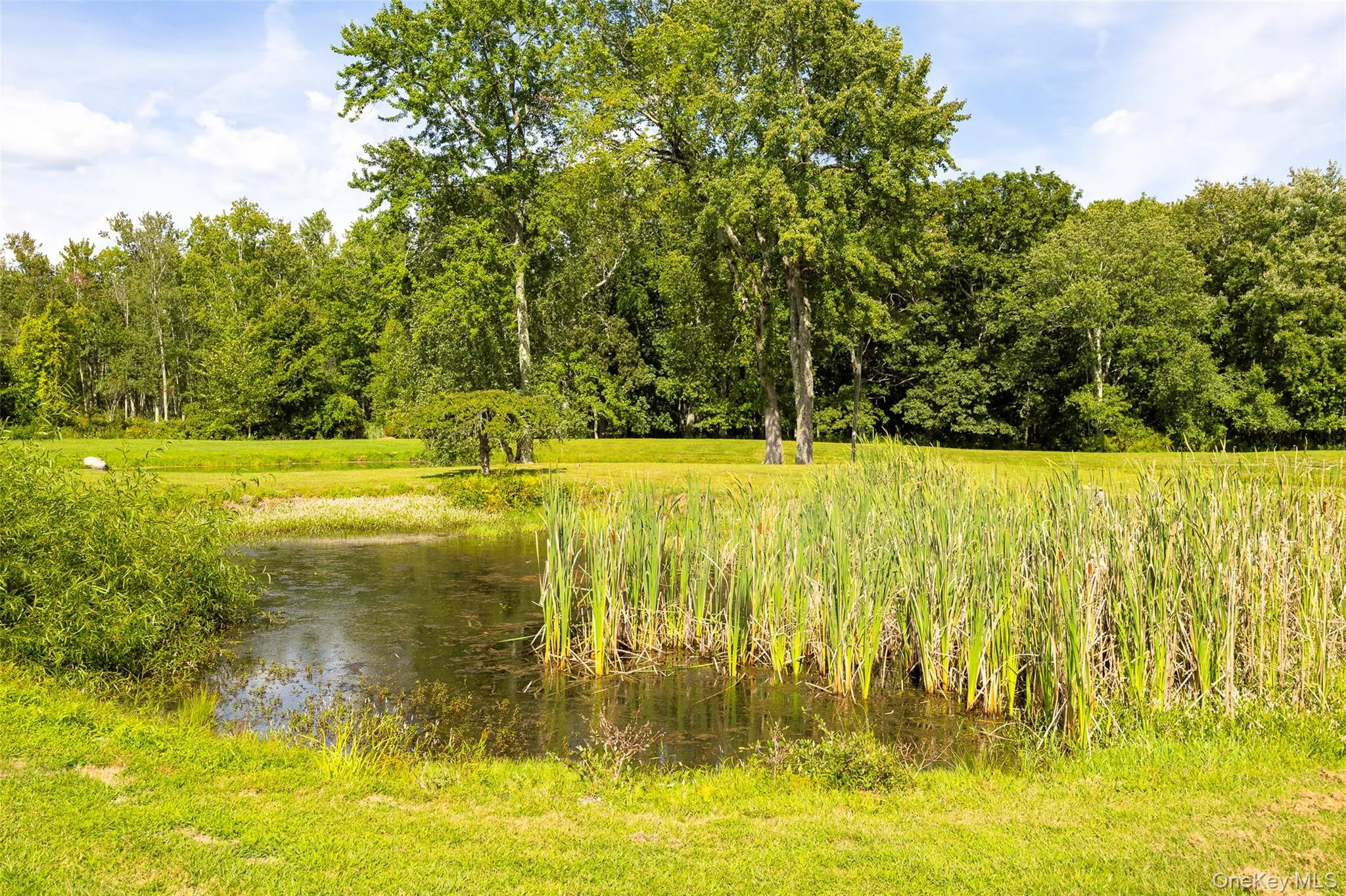 89 Deer Pond Road, Union Vale, NY, 4 Bedrooms Bedrooms, 13 Rooms Rooms,2 BathroomsBathrooms,Residential,For Rent,Deer Pond,0,947615 89 Deer Pond Road, Union Vale, NY, 4 Bedrooms Bedrooms, 13 Rooms Rooms,2 BathroomsBathrooms,Residential,For Rent,Deer Pond,0,947615