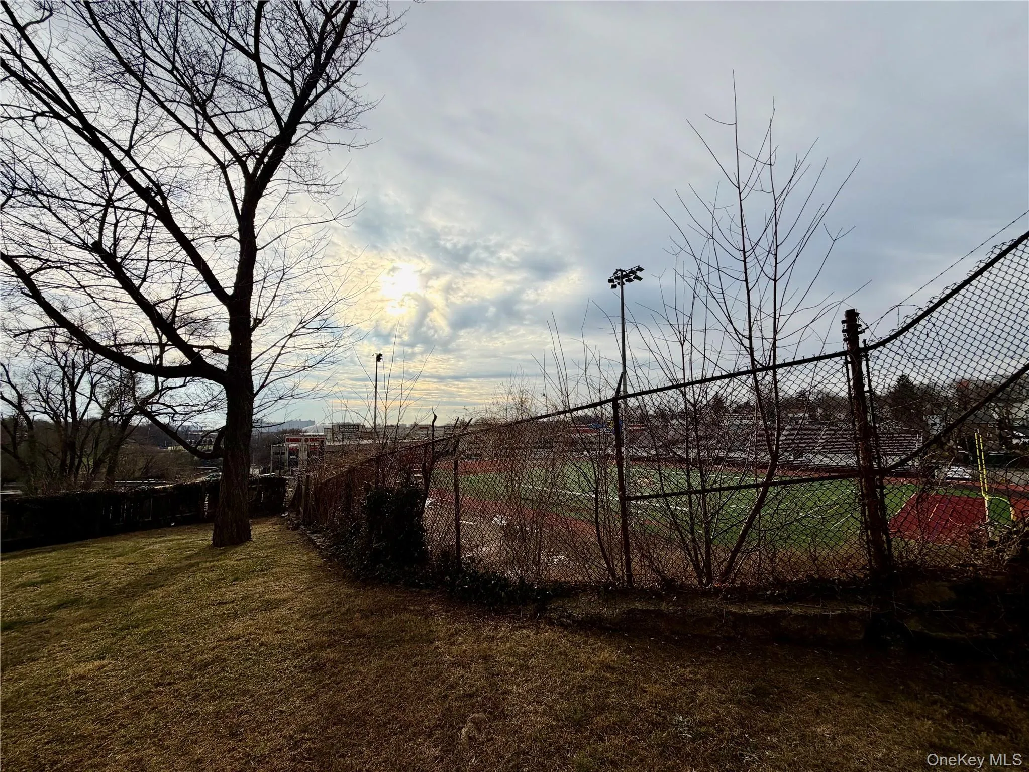 View of yard View of yard