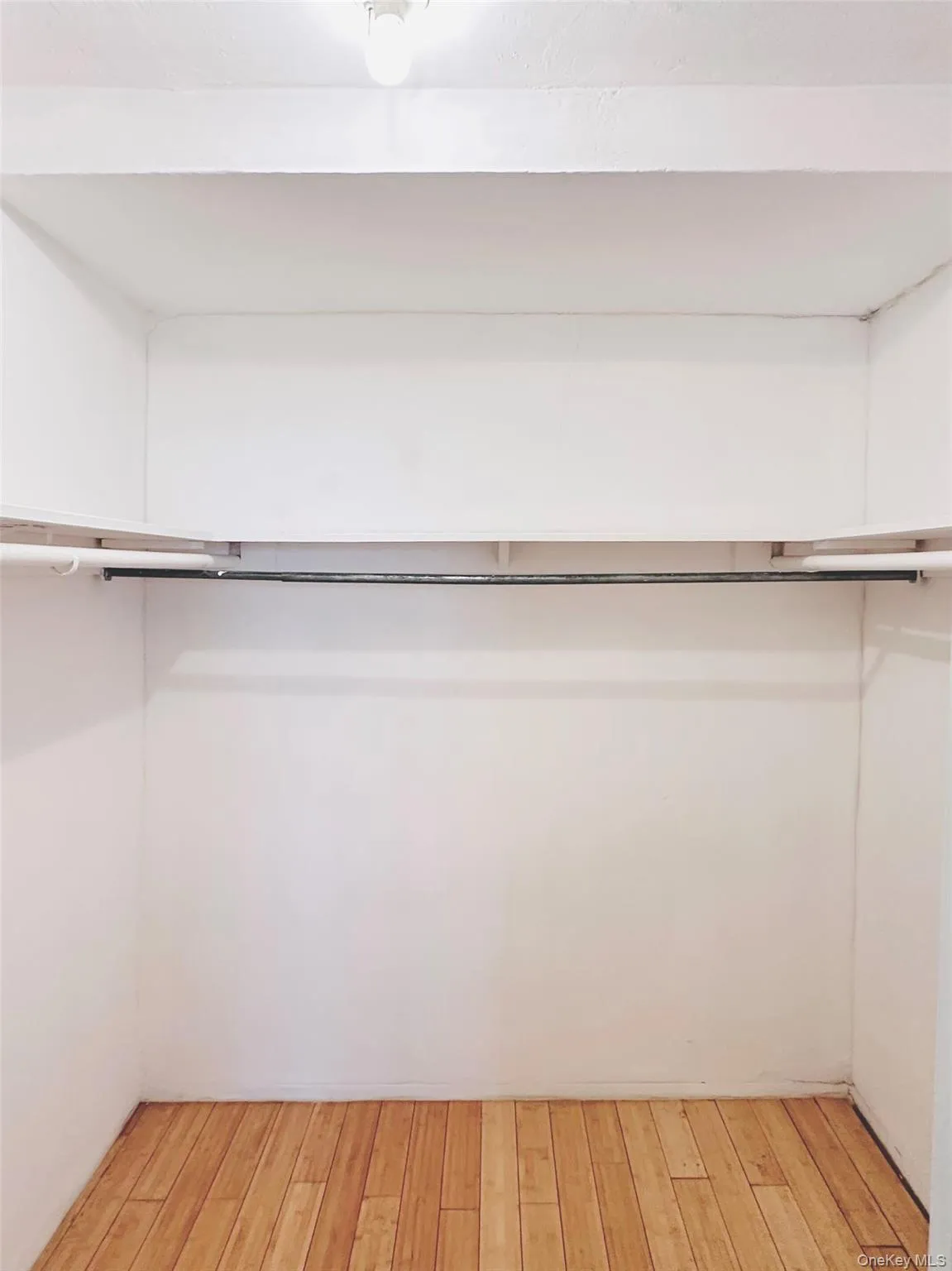 Spacious walk in closet featuring light wood-style floors Spacious walk in closet featuring light wood-style floors