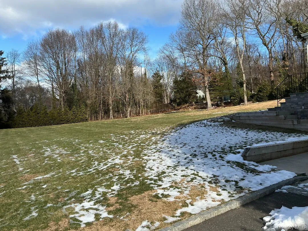 Snowy yard with a lawn and a wooded view Snowy yard with a lawn and a wooded view