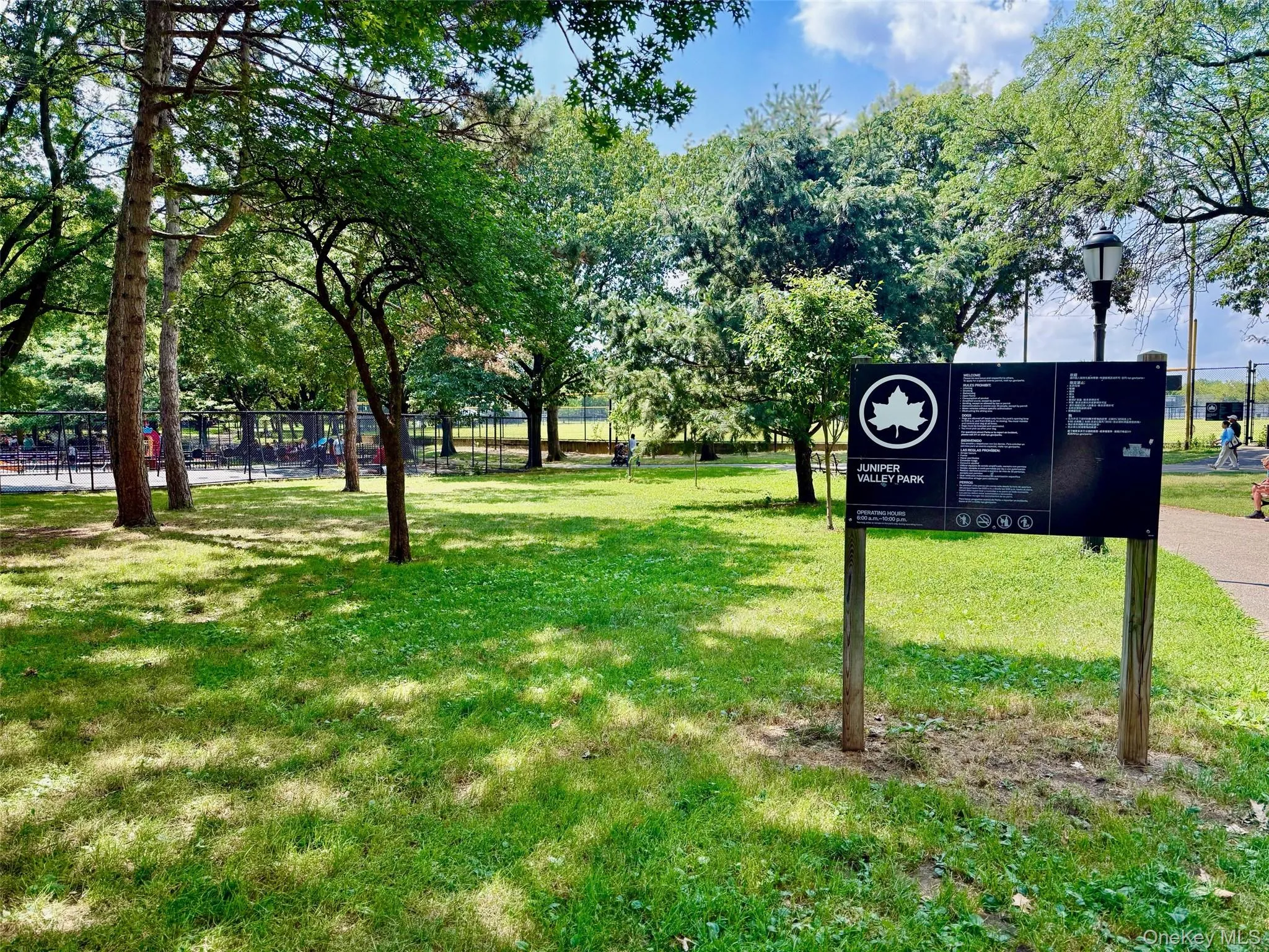 Park ,Surrounding community, Park ,Surrounding community,