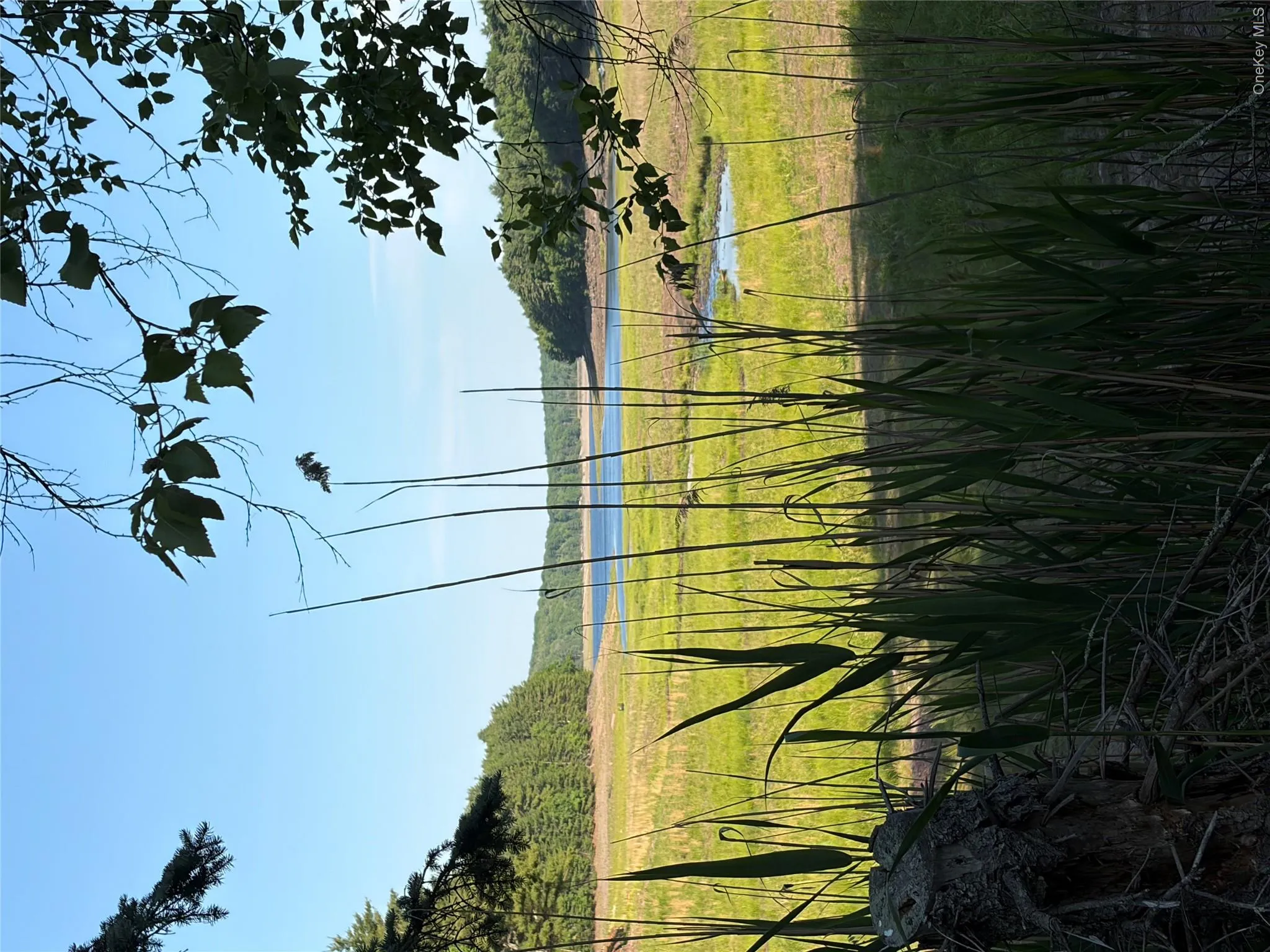 00 Moscoe Road, Bethel, NY, ,Land,For Rent,00 Moscoe,0,947741 00 Moscoe Road, Bethel, NY, ,Land,For Rent,00 Moscoe,0,947741