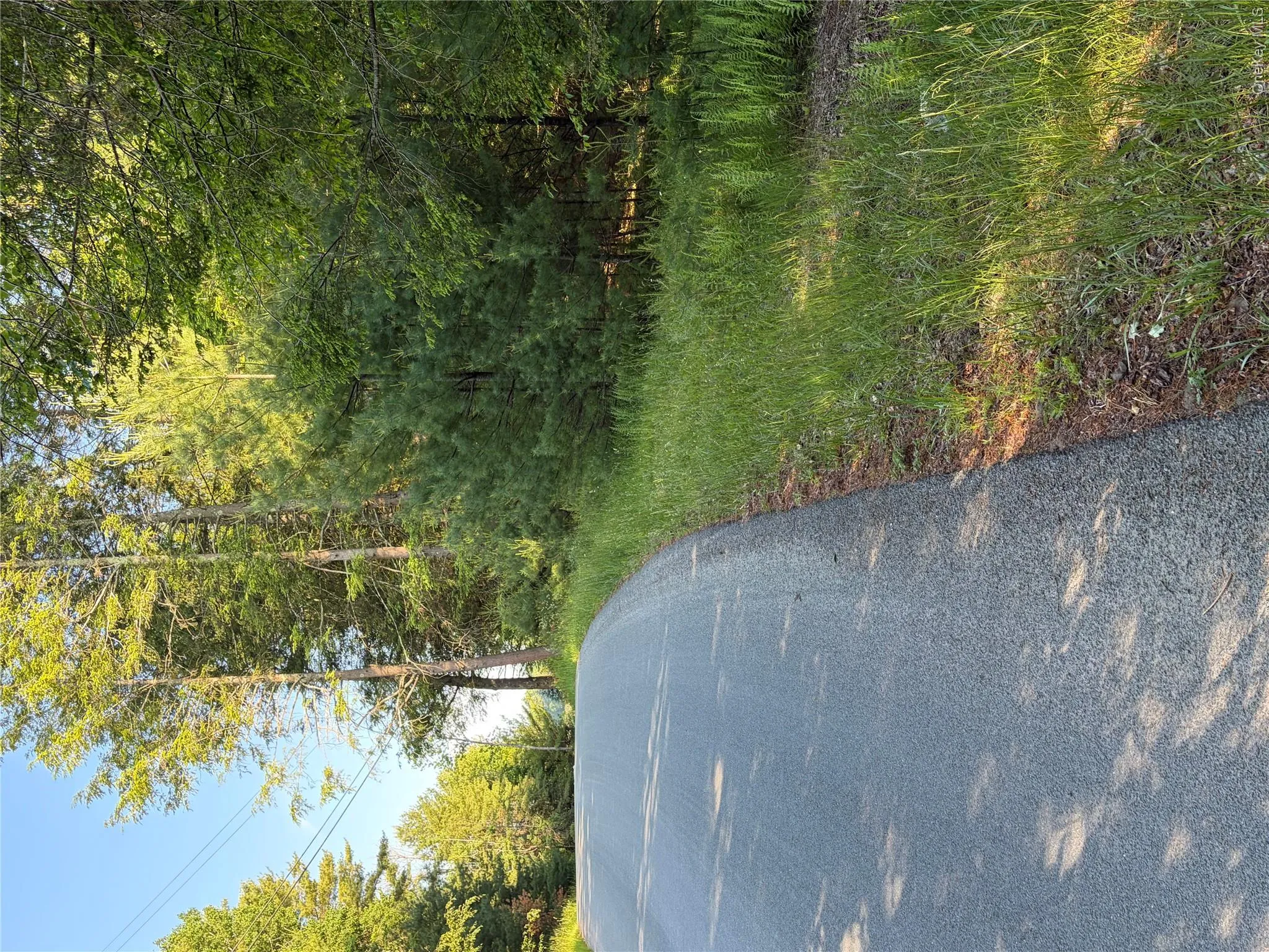 00 Moscoe Road, Bethel, NY, ,Land,For Rent,00 Moscoe,0,947741 00 Moscoe Road, Bethel, NY, ,Land,For Rent,00 Moscoe,0,947741
