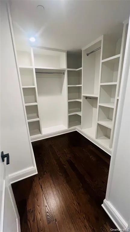 Spacious closet with dark wood-type flooring Spacious closet with dark wood-type flooring