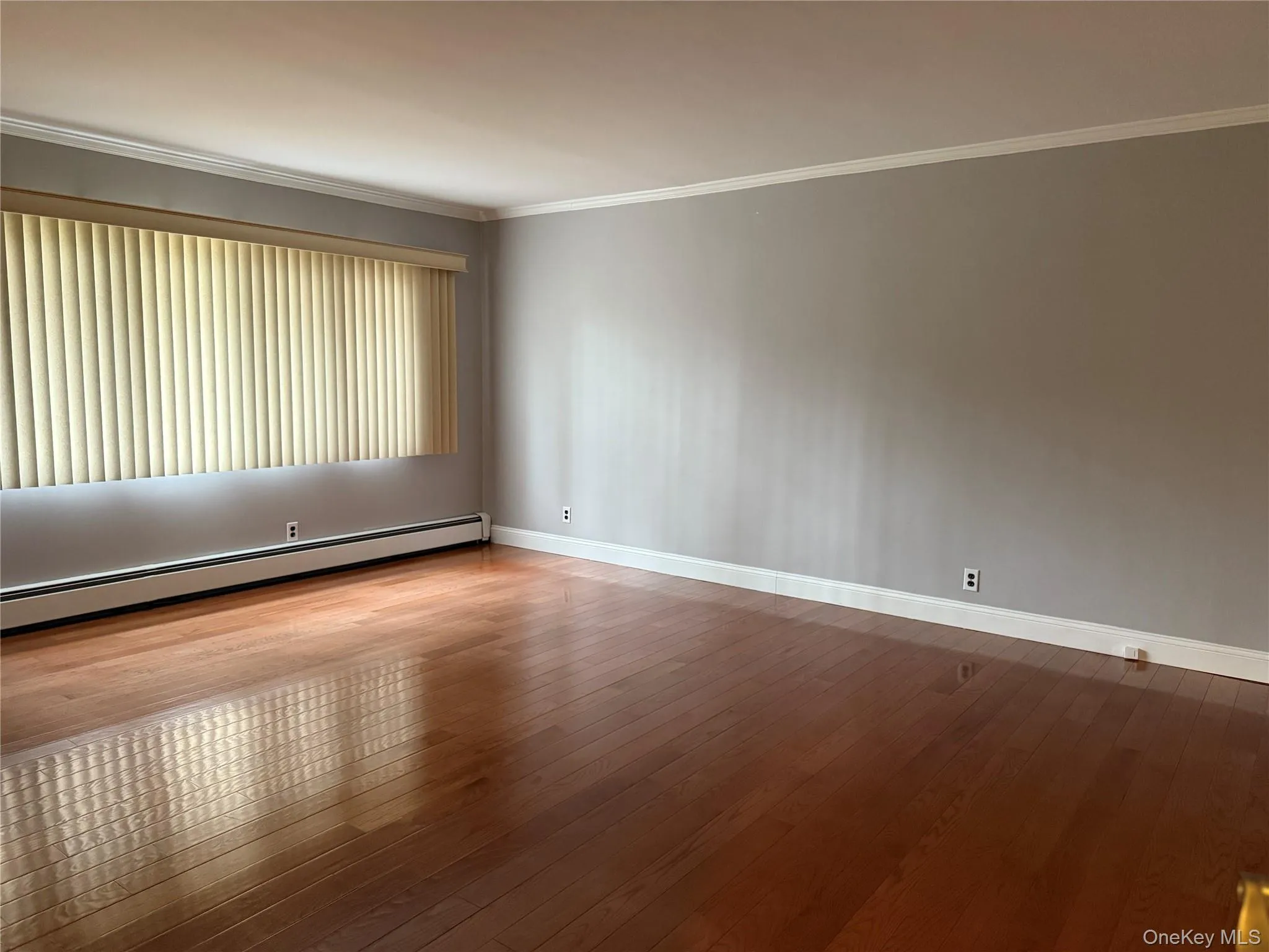 Spare room featuring baseboard heating, ornamental molding, and wood-type flooring Spare room featuring baseboard heating, ornamental molding, and wood-type flooring