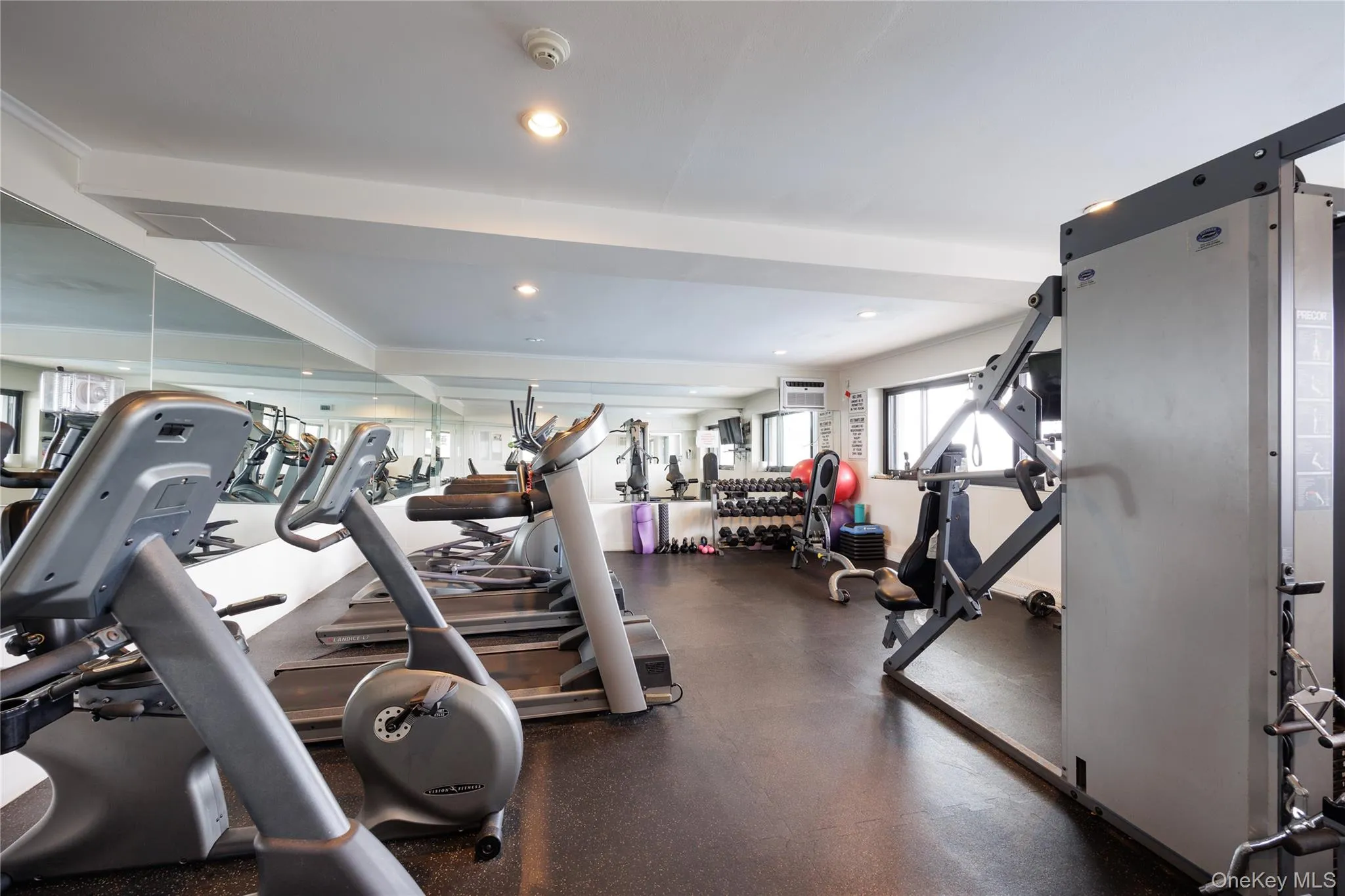 Large Gym with a View Large Gym with a View