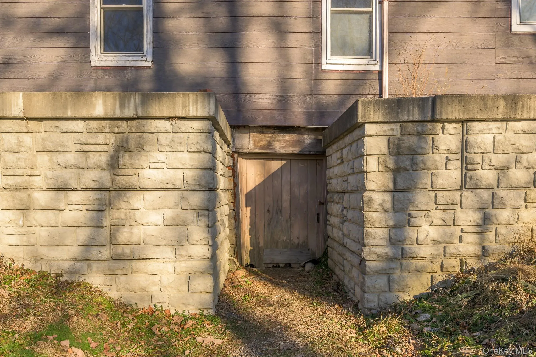 Back entrance to basement Back entrance to basement