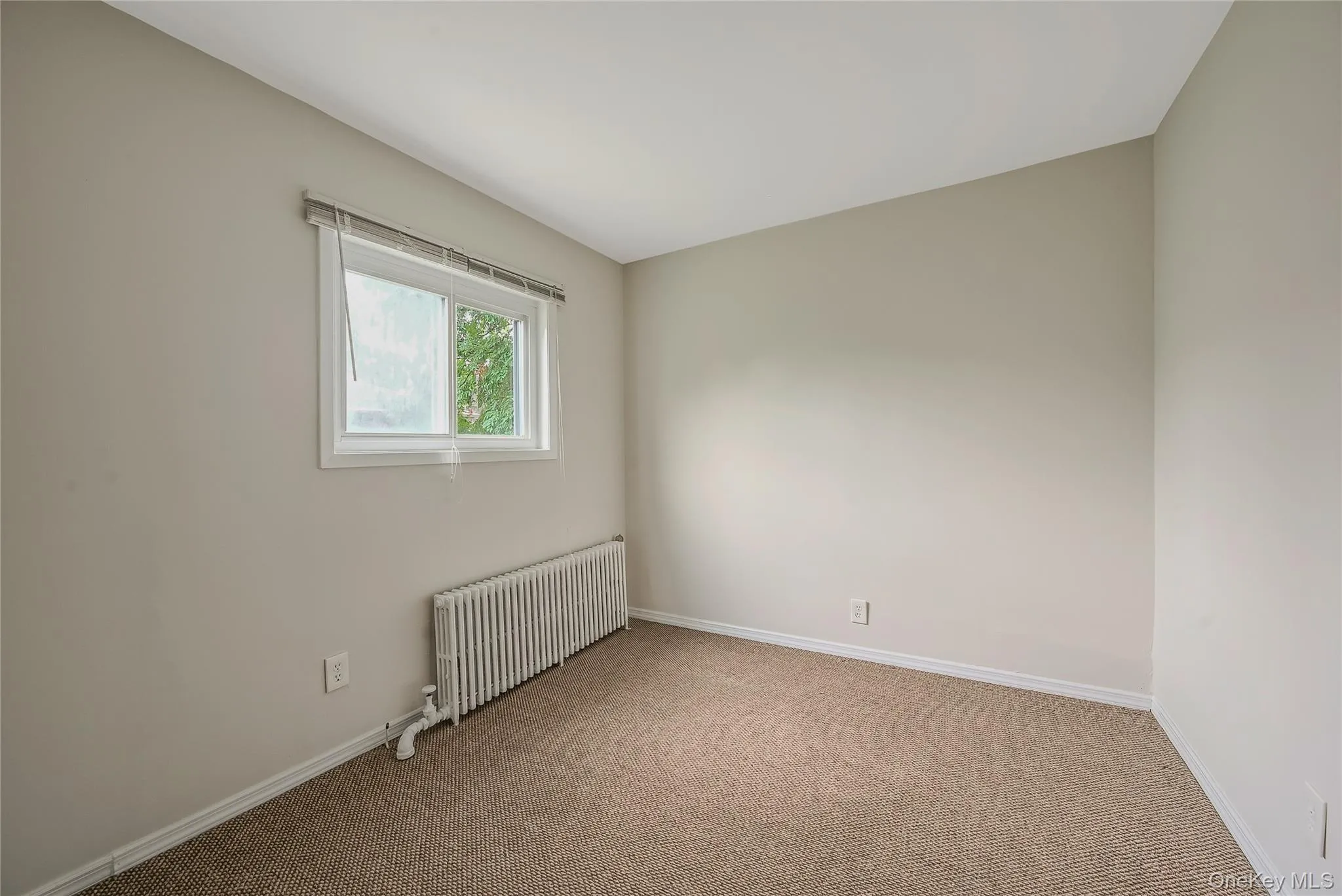 Carpeted spare room with radiator and baseboards Carpeted spare room with radiator and baseboards