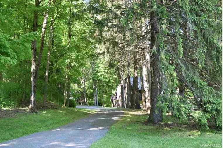 View of private tree-lined driveway View of private tree-lined driveway