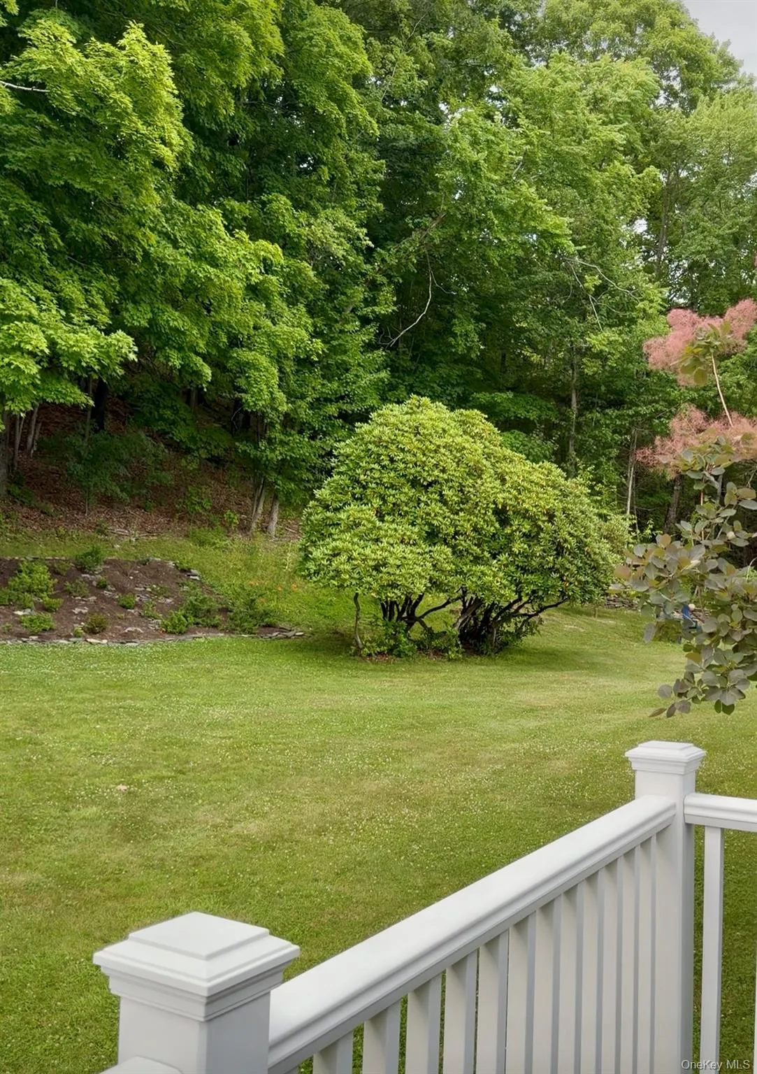 91-97 Sawmill Road, Red Hook, NY, 2 Bedrooms Bedrooms, 4 Rooms Rooms,1 BathroomBathrooms,Residential Lease,For Rent,Sawmill,0,947809 91-97 Sawmill Road, Red Hook, NY, 2 Bedrooms Bedrooms, 4 Rooms Rooms,1 BathroomBathrooms,Residential Lease,For Rent,Sawmill,0,947809
