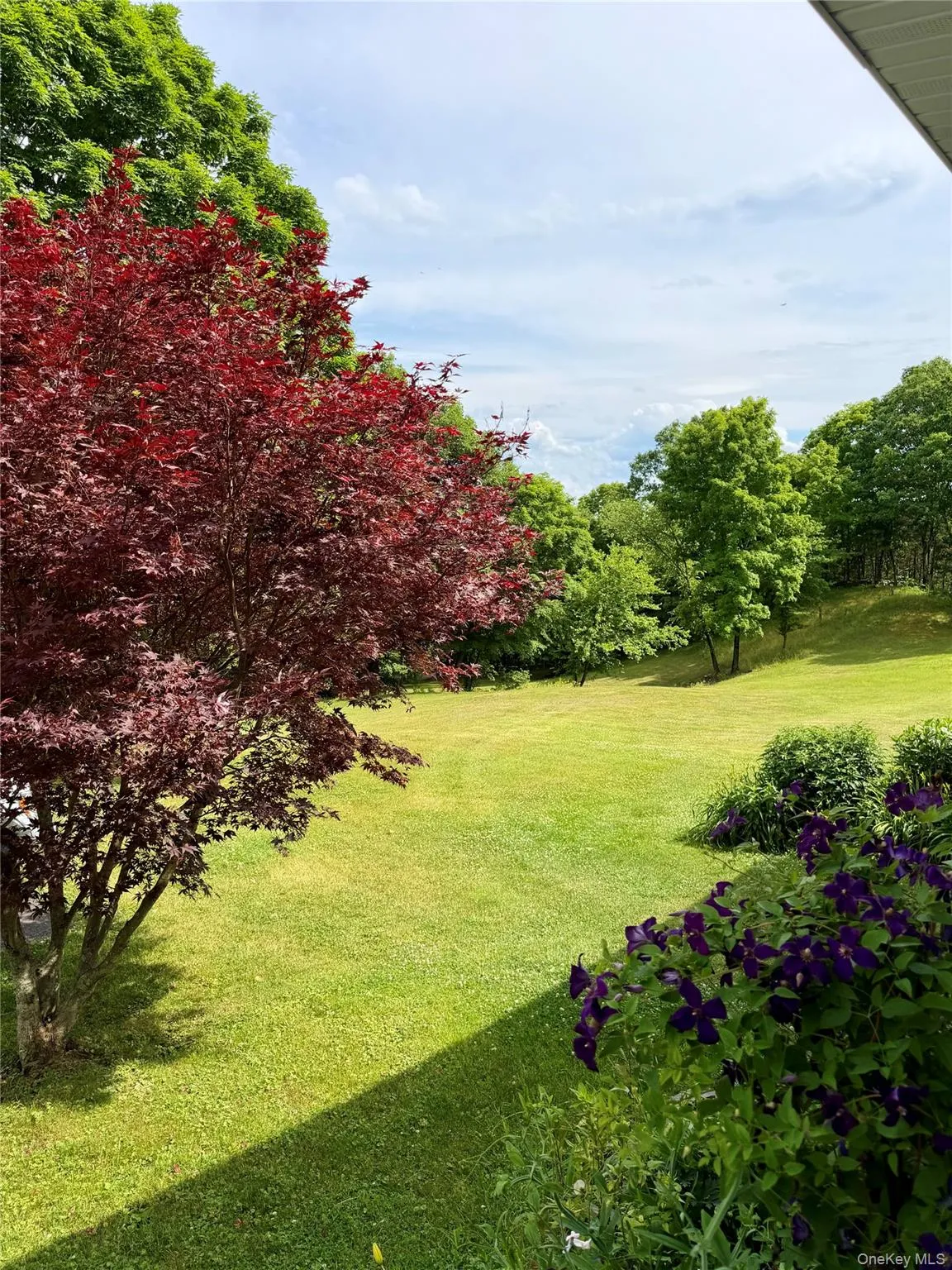 91-97 Sawmill Road, Red Hook, NY, 2 Bedrooms Bedrooms, 4 Rooms Rooms,1 BathroomBathrooms,Residential Lease,For Rent,Sawmill,0,947809 91-97 Sawmill Road, Red Hook, NY, 2 Bedrooms Bedrooms, 4 Rooms Rooms,1 BathroomBathrooms,Residential Lease,For Rent,Sawmill,0,947809