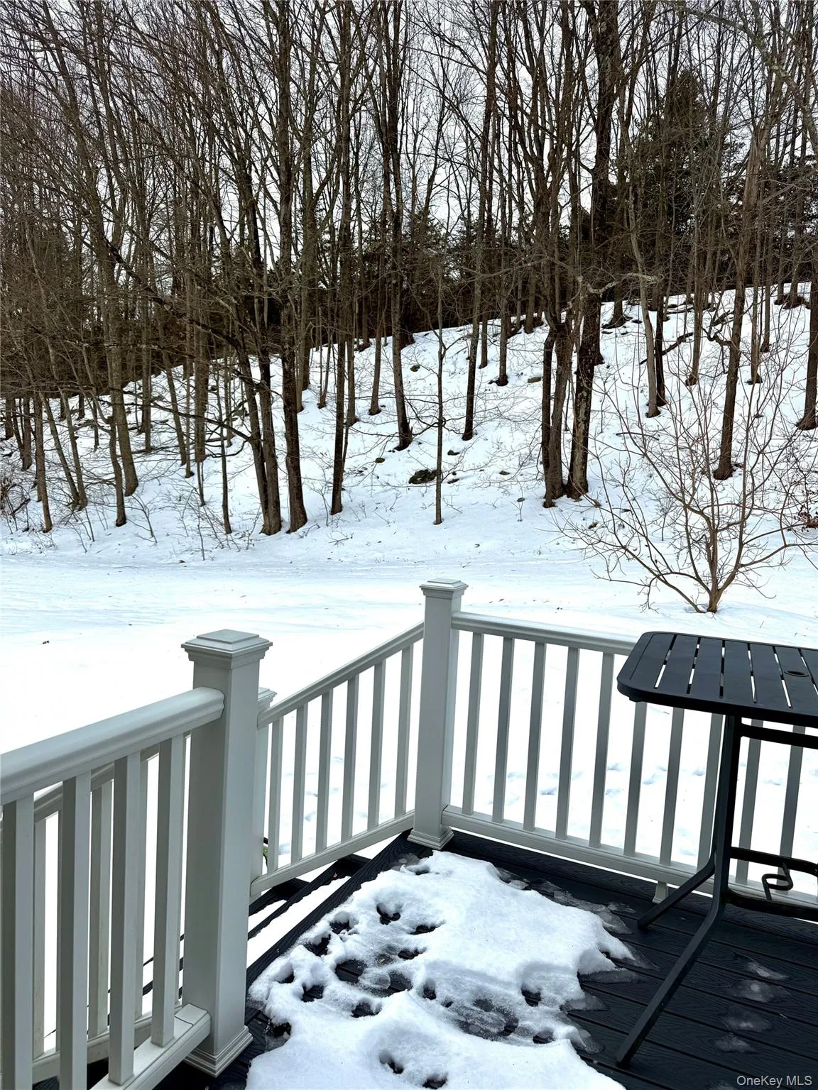 View of snow covered deck View of snow covered deck